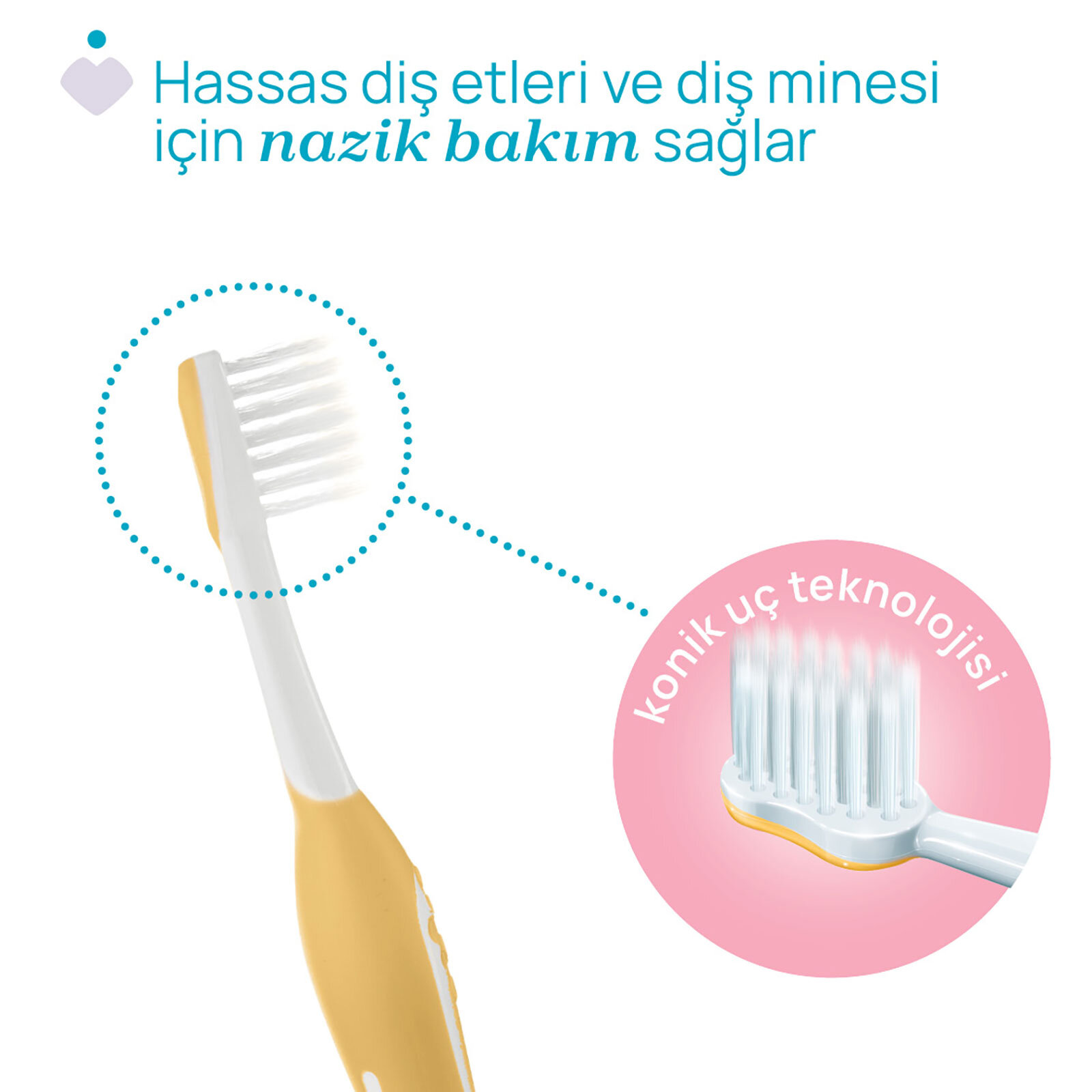 2'Lİ DİŞ FIRÇASI 6-36 AY LILAC MUSTARD