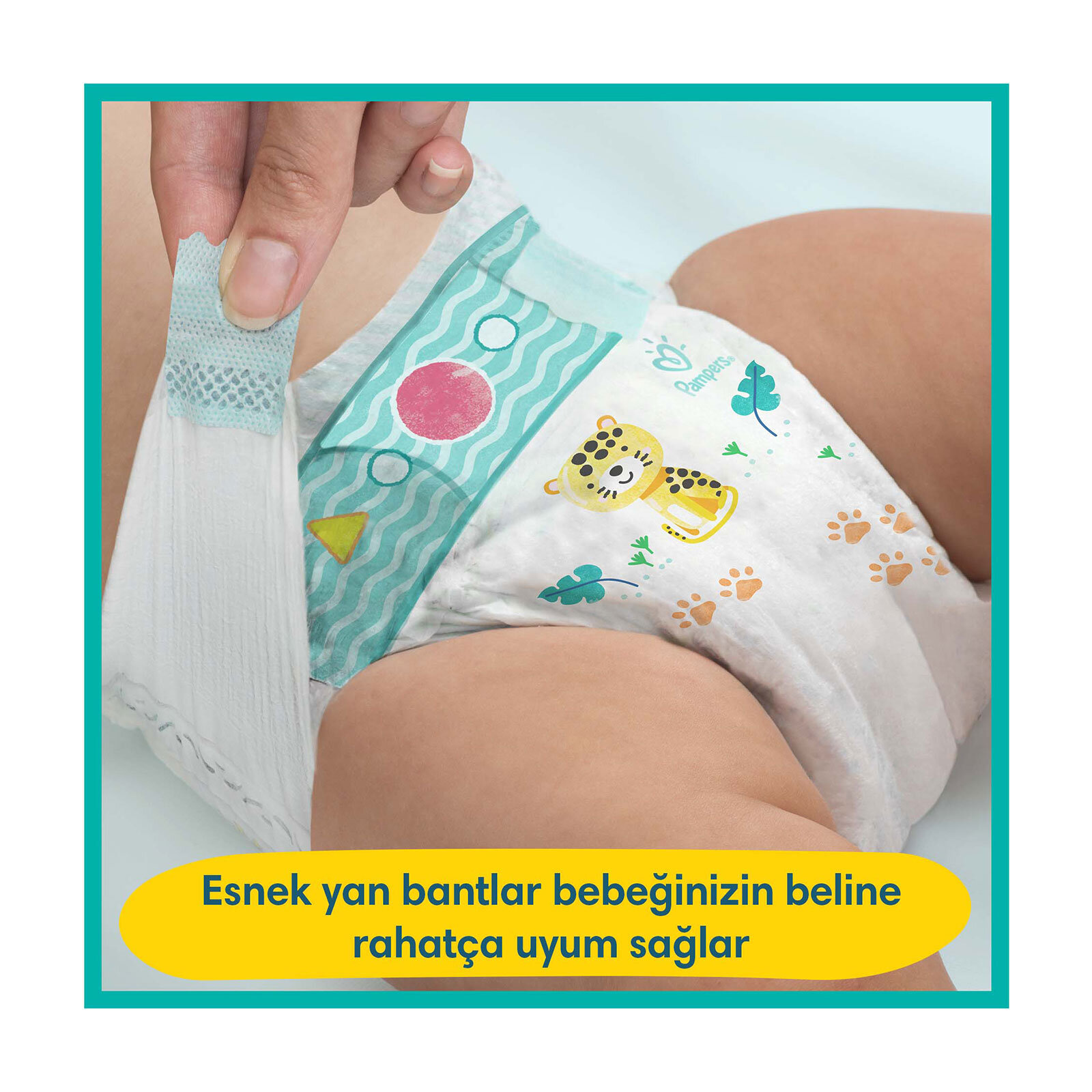 AB Ekonomik 8 Beden 31 Adet