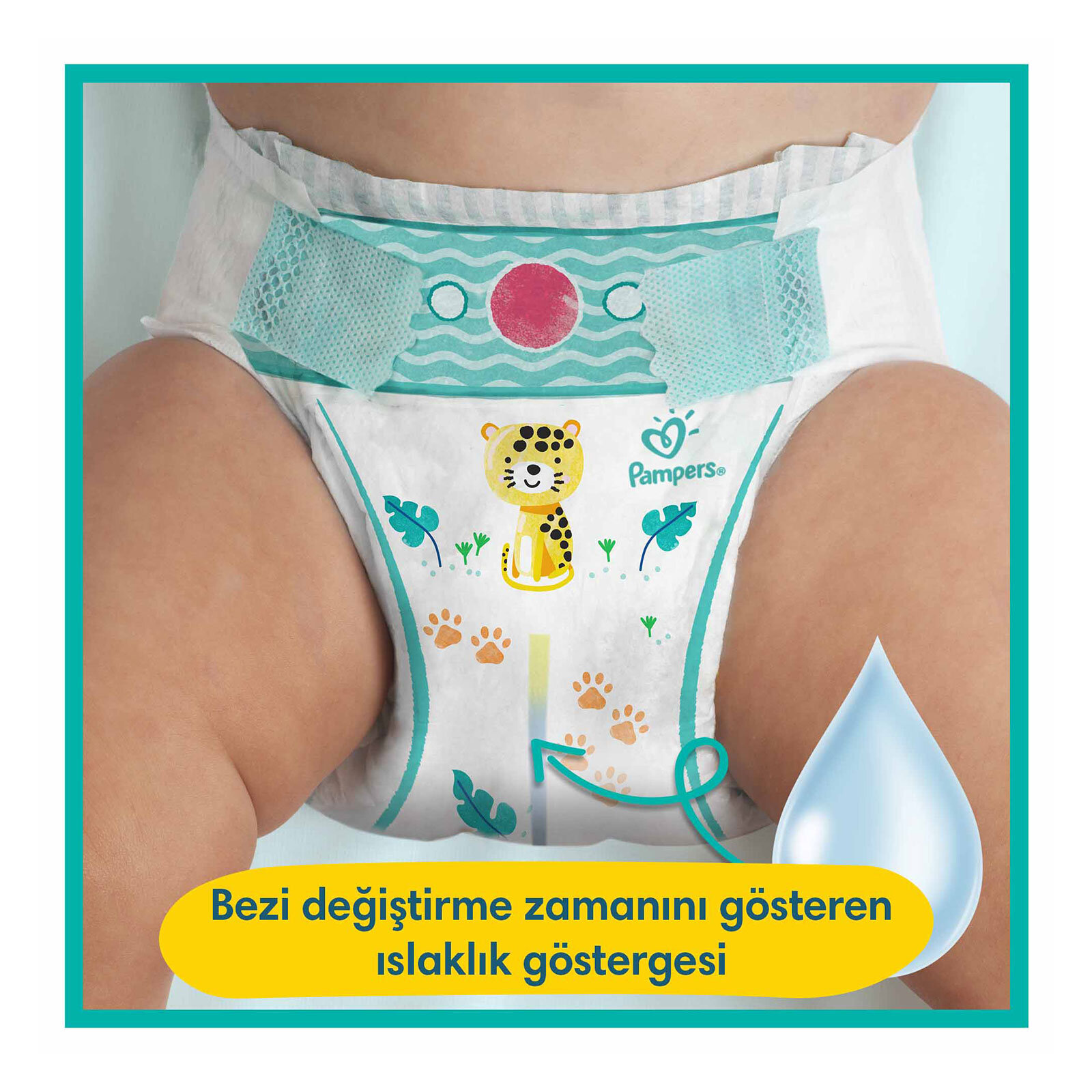 AB Ekonomik 8 Beden 31 Adet