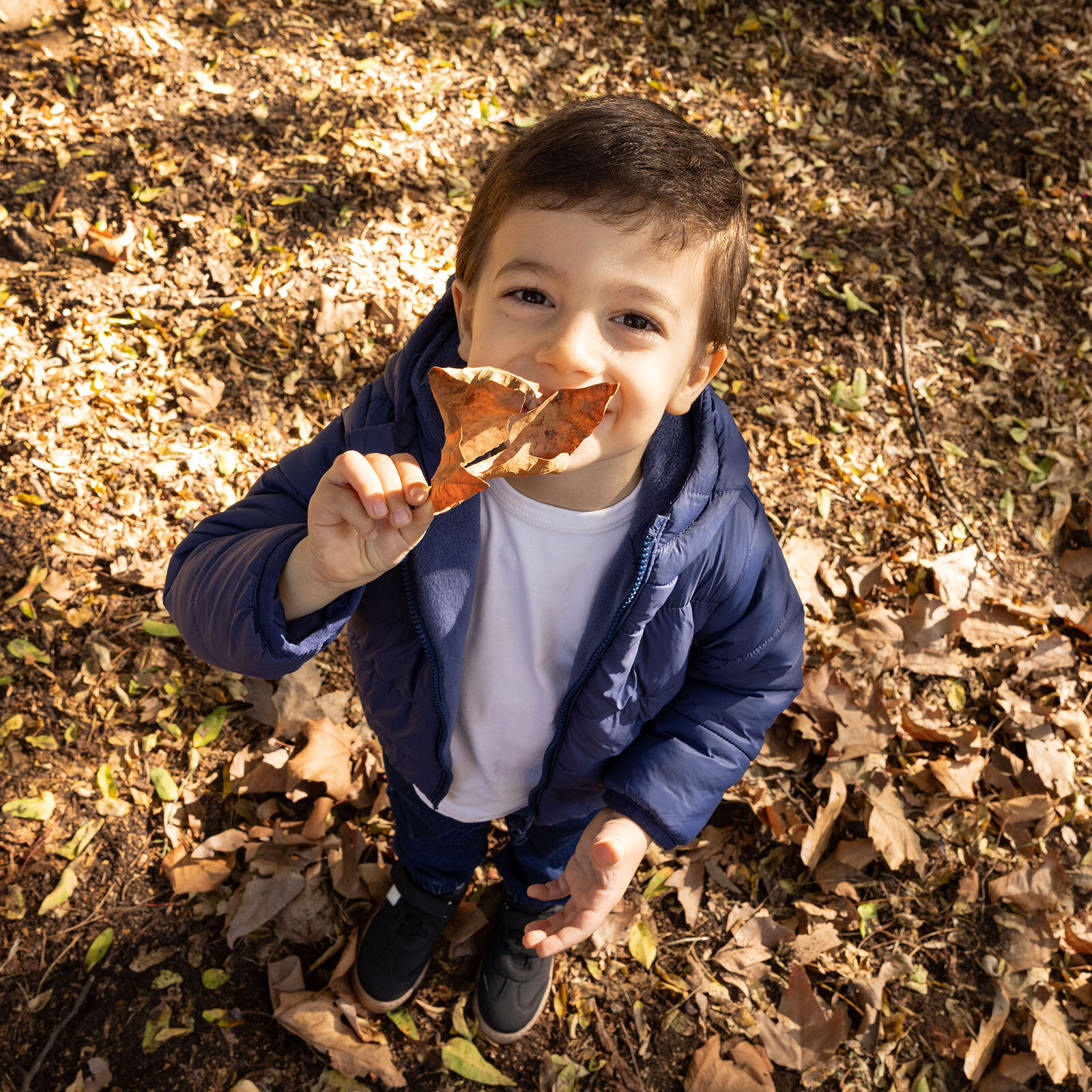 Basic Kulaklı Kapüşonlu Mont Erkek Bebek Basic Kulaklı Kapüşonlu Mont Erkek Bebek