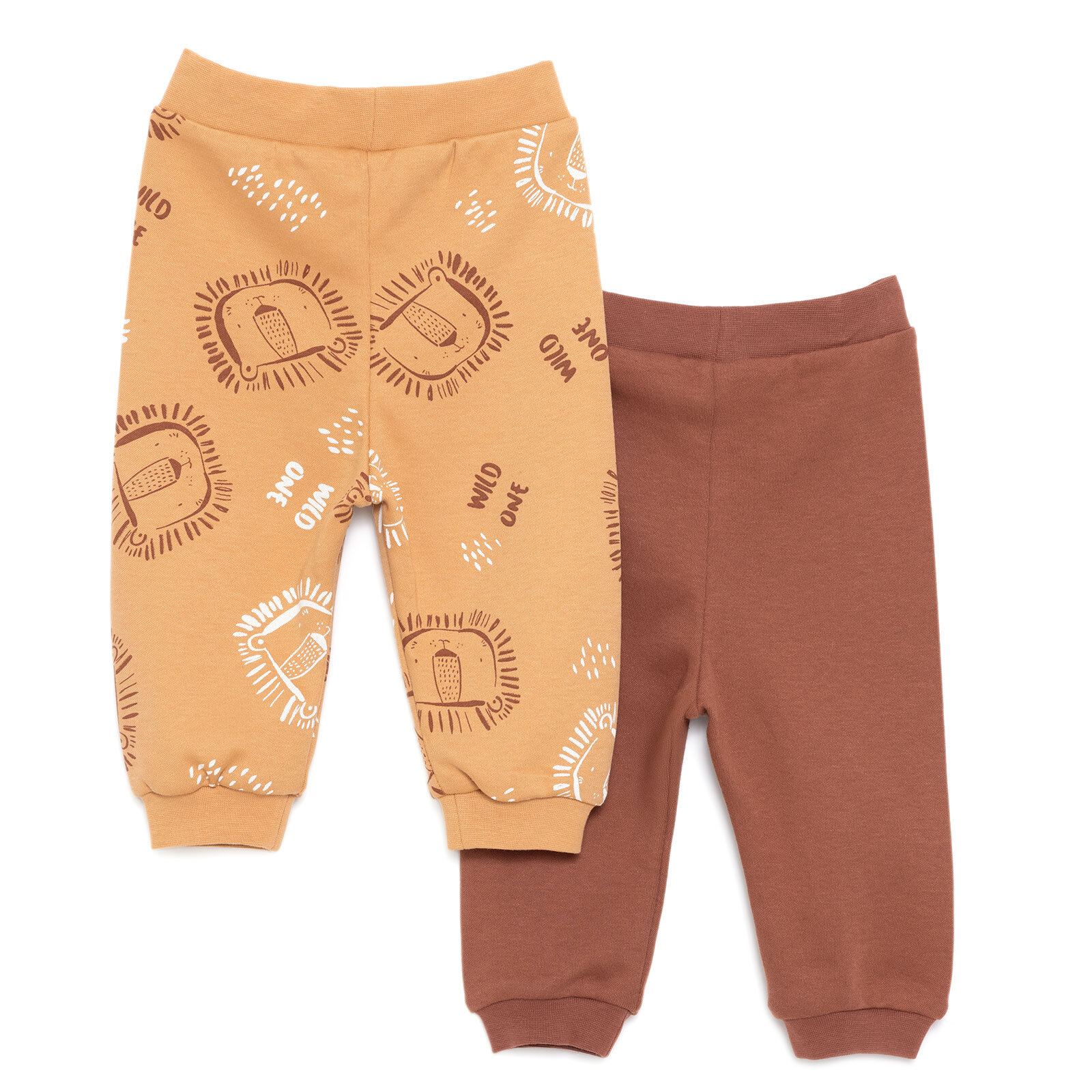 Basic Aslan Baskılı 2li Patiksiz Alt Erkek Bebek