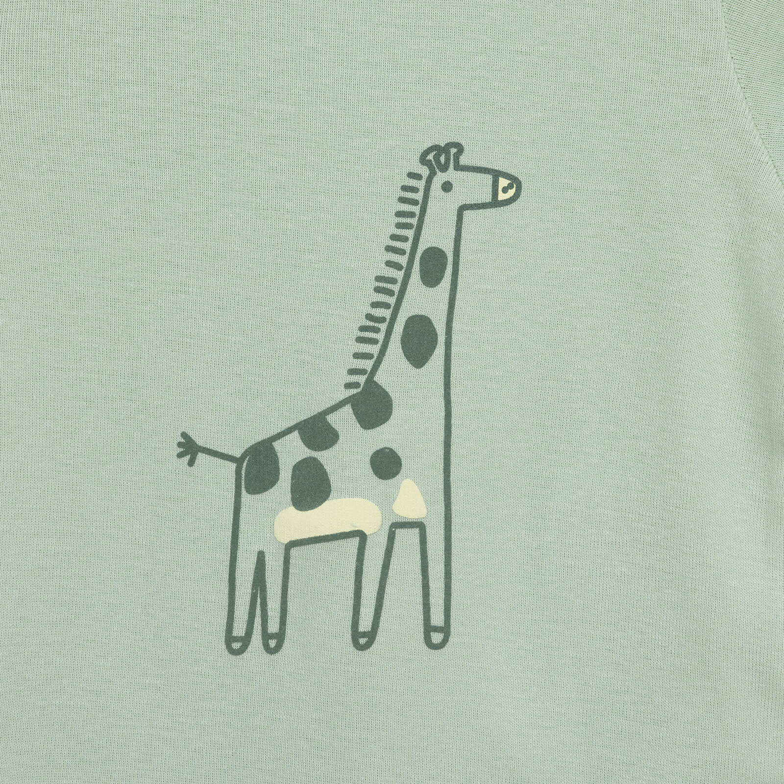 Erkek 2li Kısa Kol Body Erkek Bebek