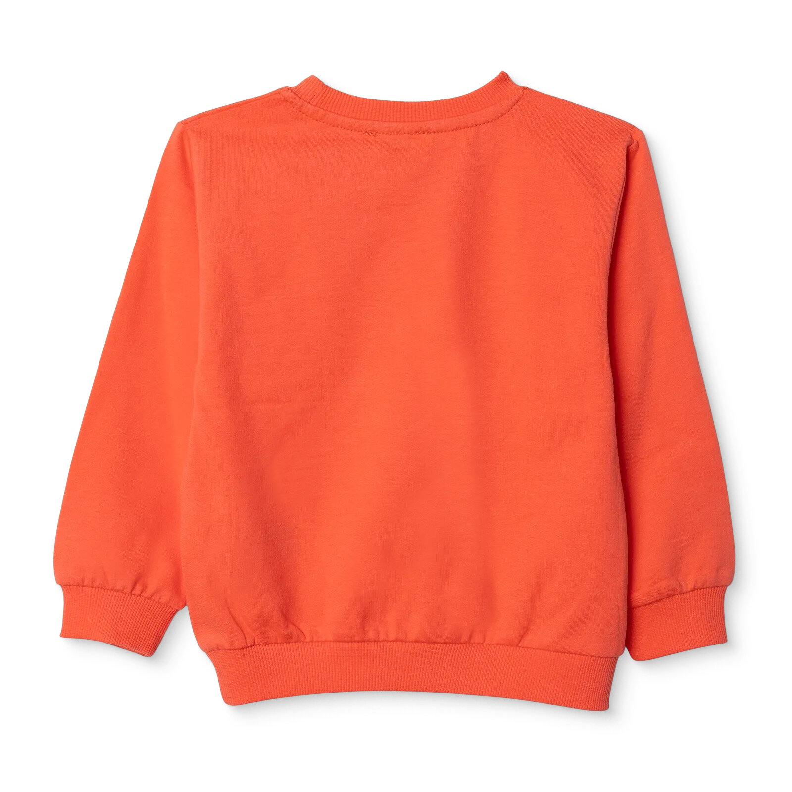 Kız Bebek Sweatshirt İki İplik Bisiklet Yaka Uzun Kol