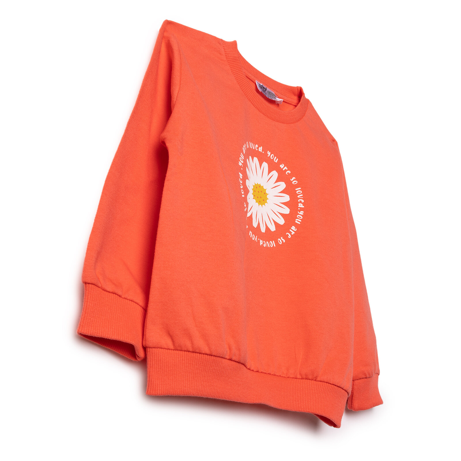 Kız Bebek Sweatshirt İki İplik Bisiklet Yaka Uzun Kol