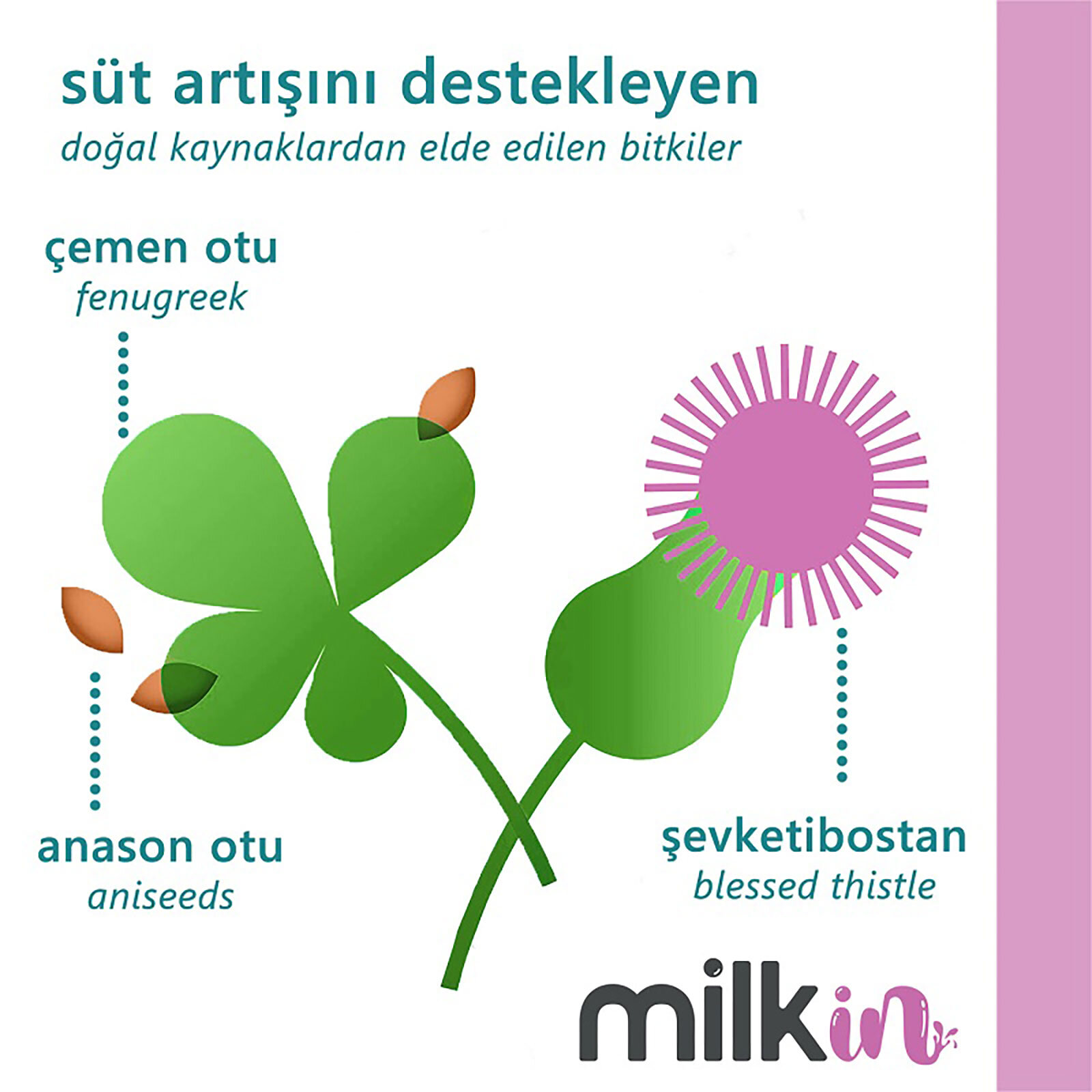 Anne Sütü Arttırıcı Gıda Takviyesi 100 Bitkisel Kapsül