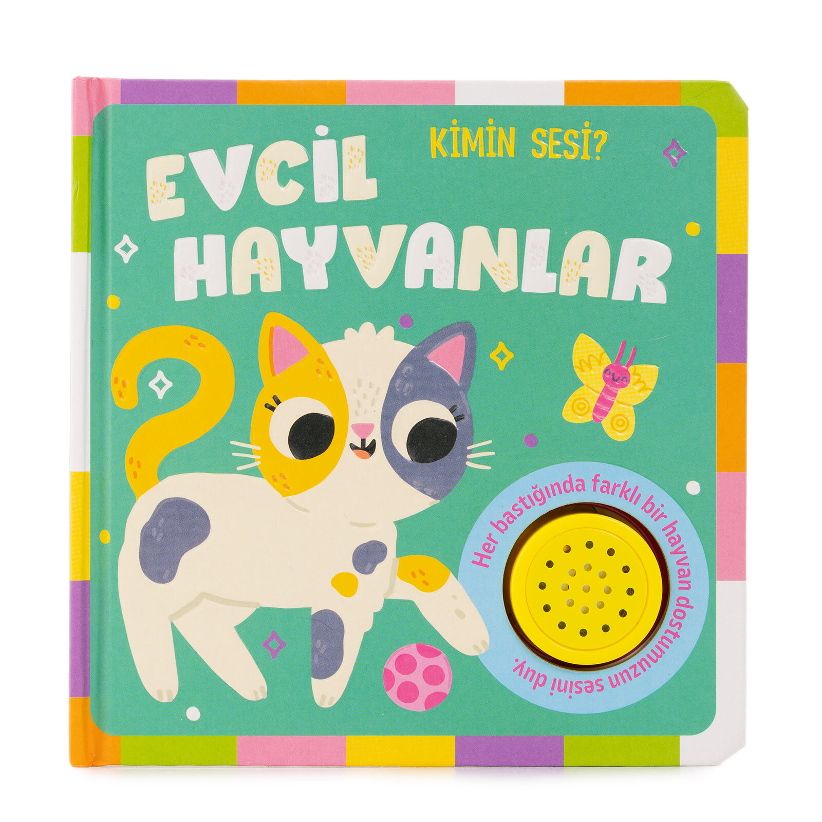 Kimin Sesi? Evcil Hayvanlar