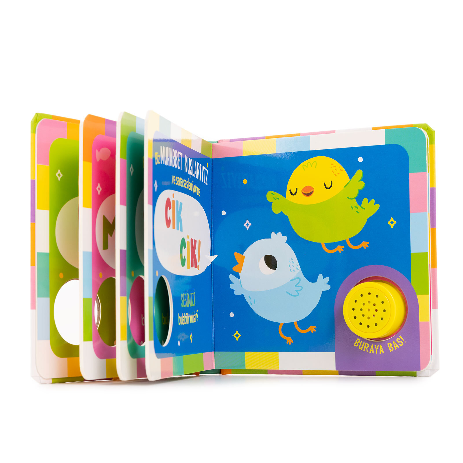 Kimin Sesi? Evcil Hayvanlar