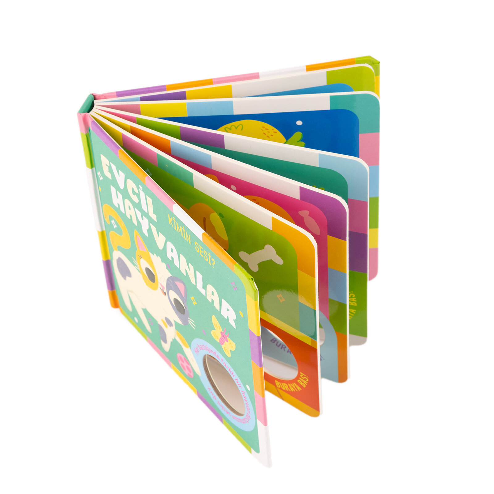 Kimin Sesi? Evcil Hayvanlar