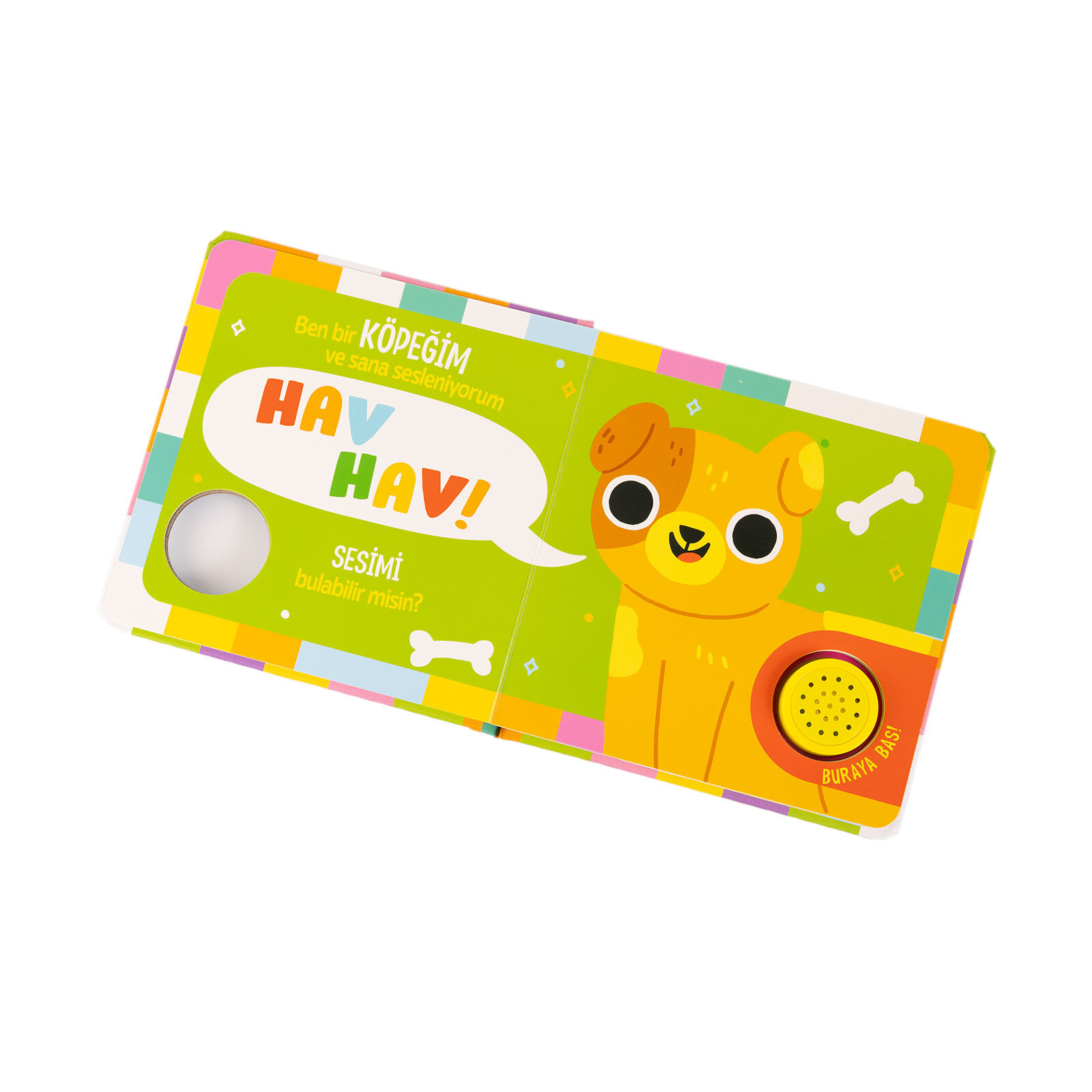 Kimin Sesi? Evcil Hayvanlar