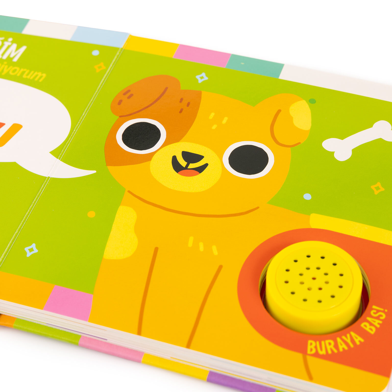 Kimin Sesi? Evcil Hayvanlar