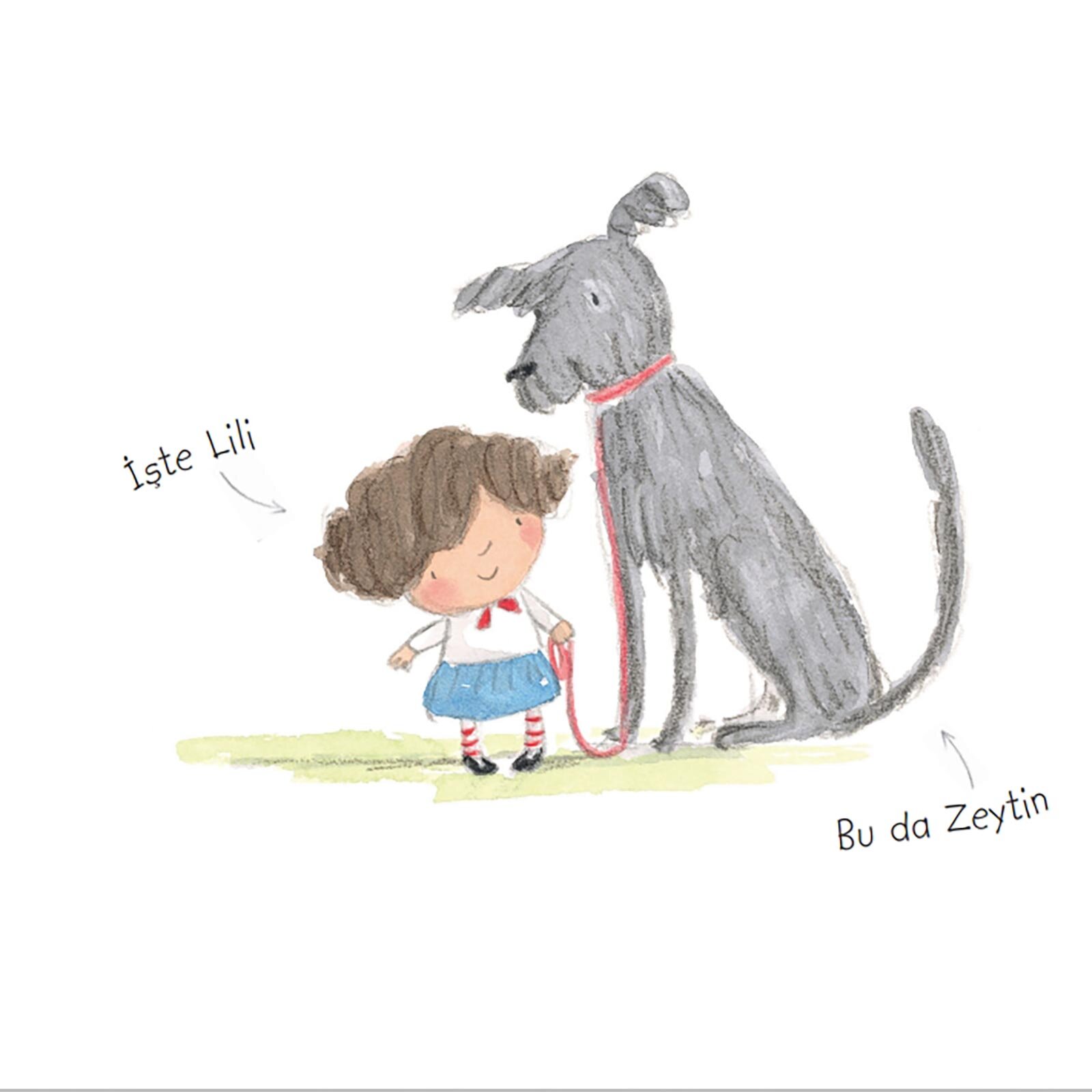 Şaşkın Lili Ve Anaokulunda İlk Gün Şaşkın Lili Ve Anaokulunda İlk Gün