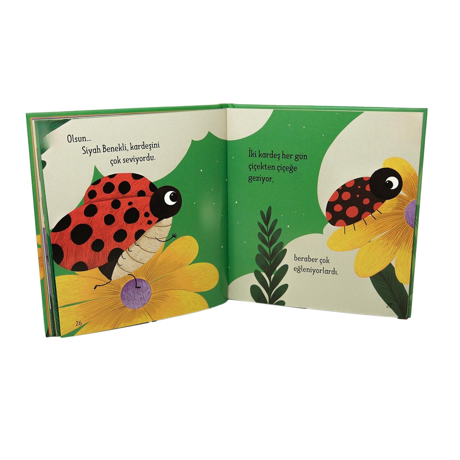 Yaş hikayeleri serisi- 2 yaş Yaş hikayeleri serisi- 2 yaş