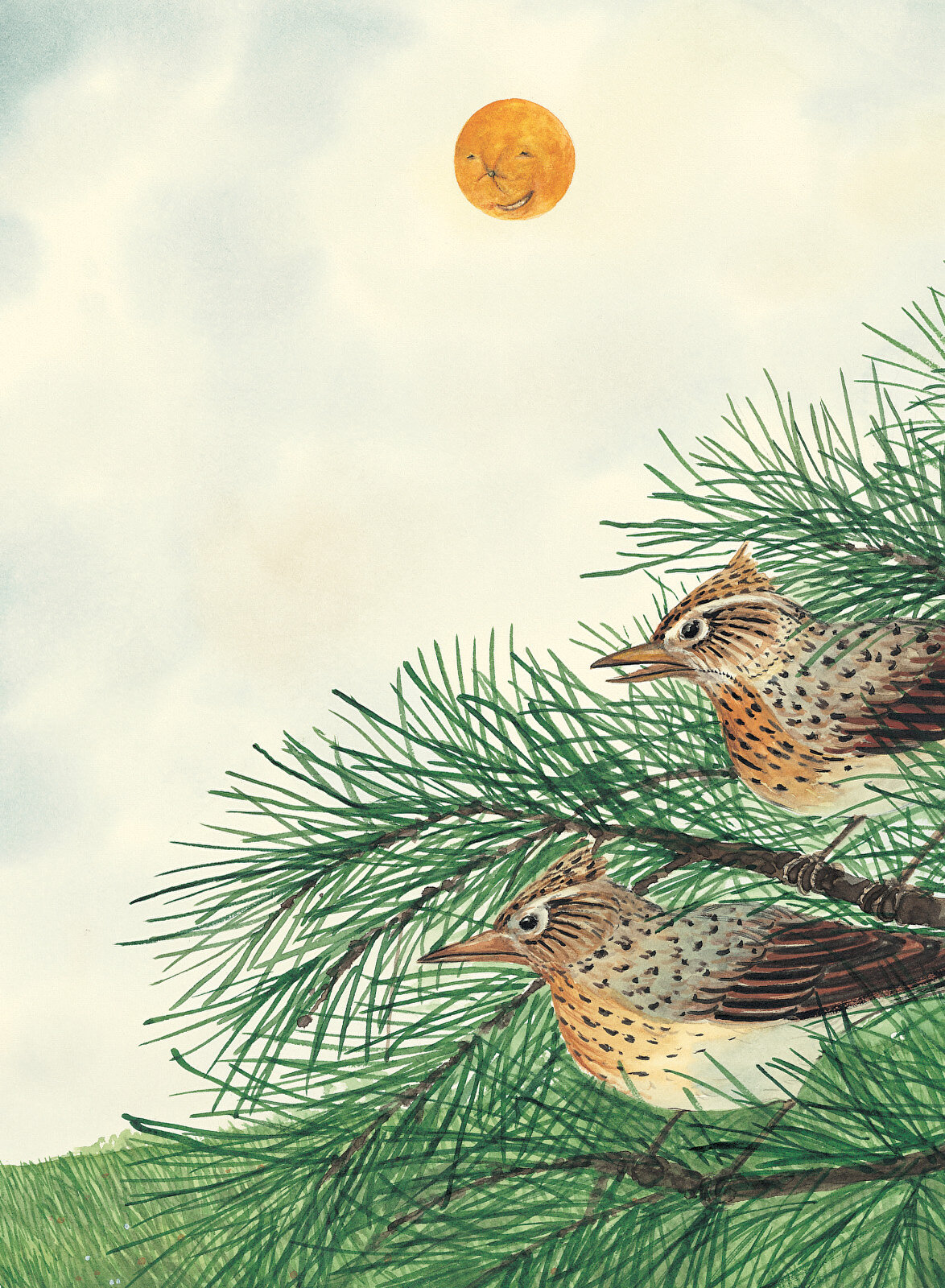 Küçük Ayı İle Ahlat Ağacı