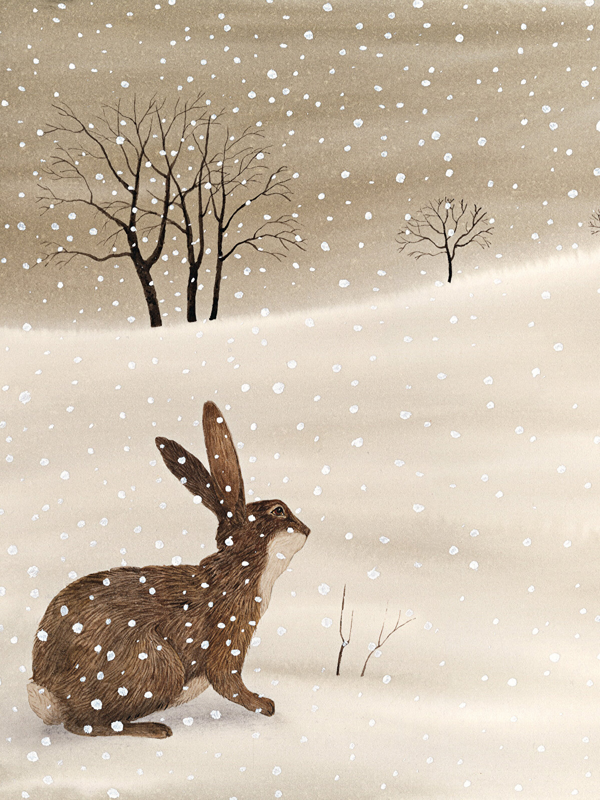 Kırmızı Elma Kırmızı Elma