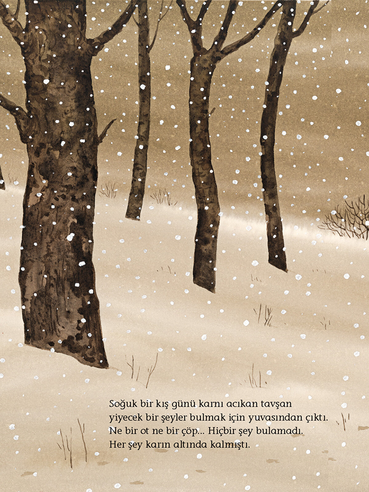 Kırmızı Elma Kırmızı Elma