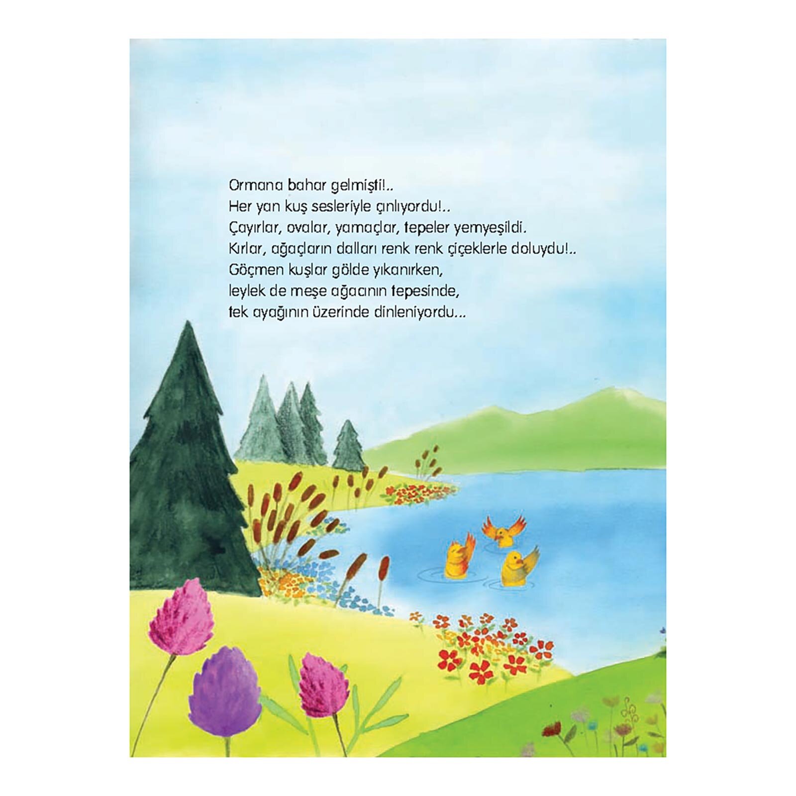 Bal Avcısı Küçük Piti