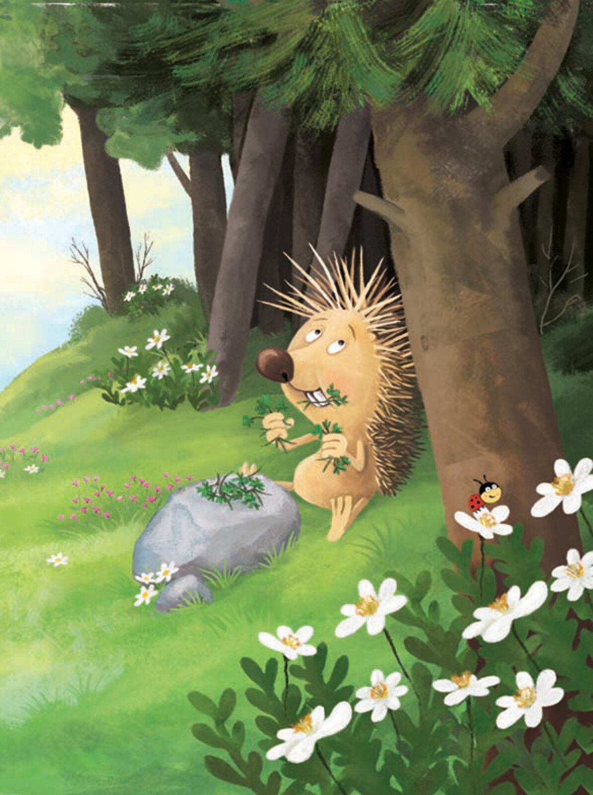 Kanatlı Kirpiyle Uçan Kaplumbağa