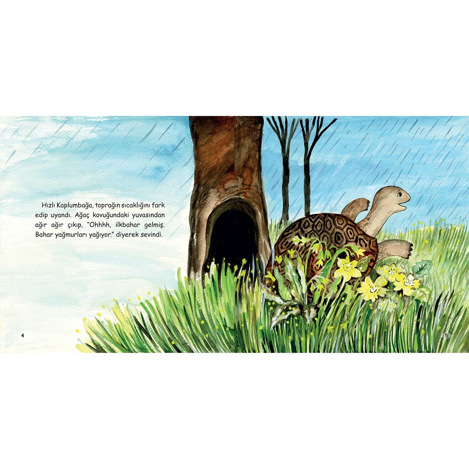 İlkbahar - Elma Çiçeği Yarışı