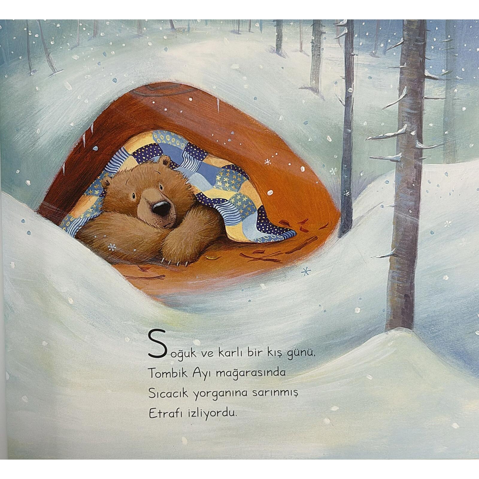 Tombik Ayı Uyuyamıyor