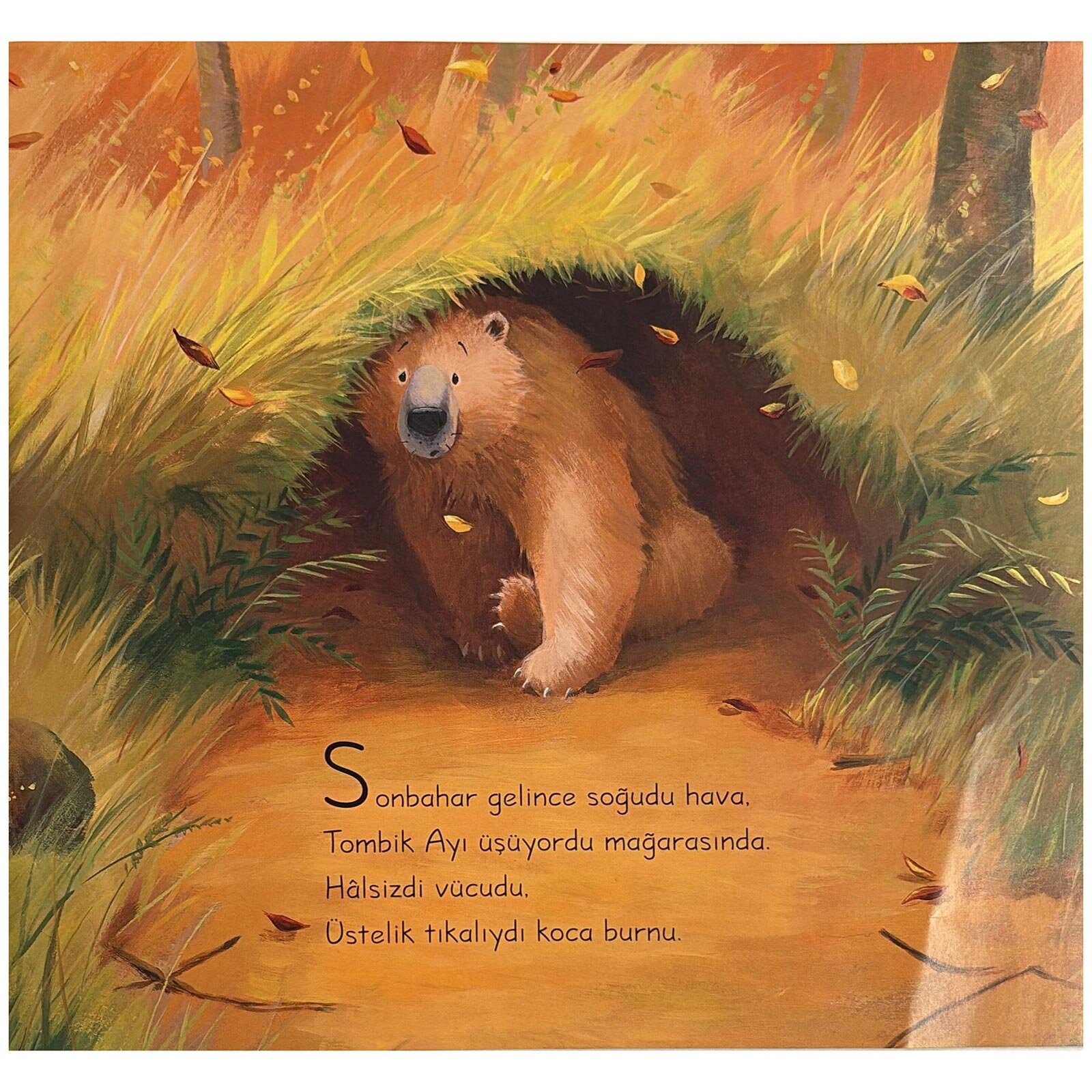 Tombik Ayı Hastalanınca Tombik Ayı Hastalanınca