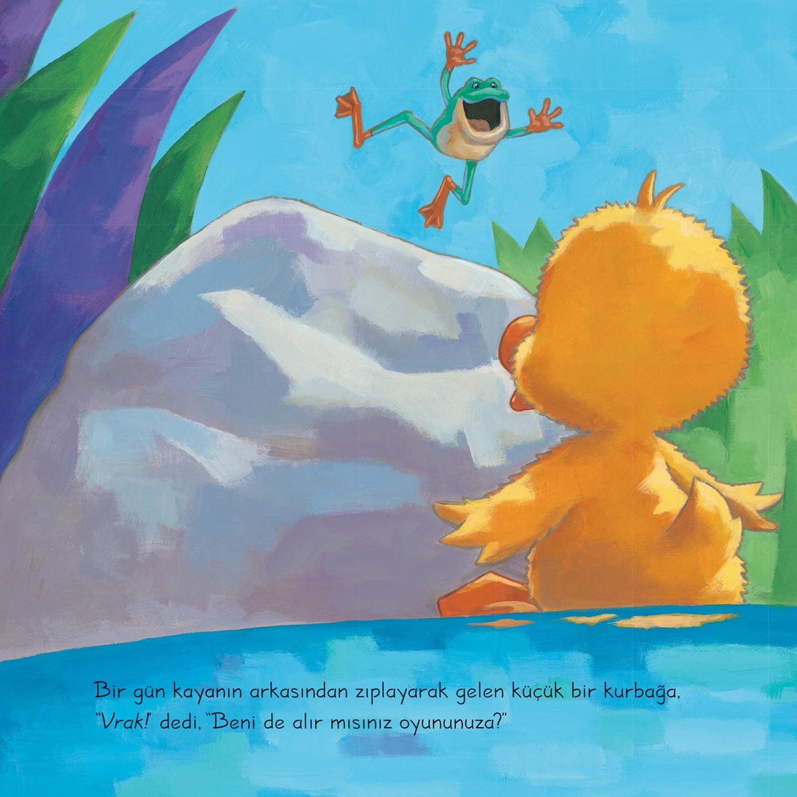 Küçük Vak Vak-Yeni Arkadaş Küçük Vak Vak-Yeni Arkadaş