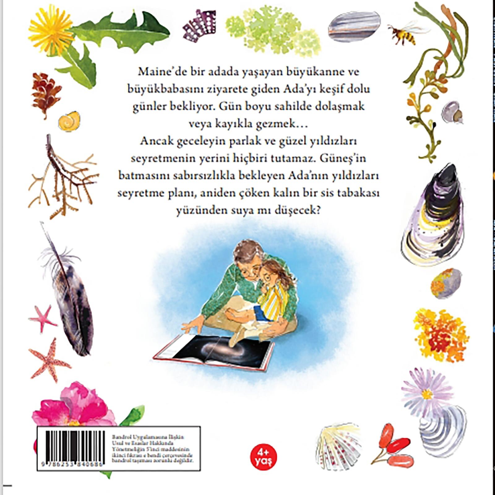 Ada Ve Galaksiler Ada Ve Galaksiler