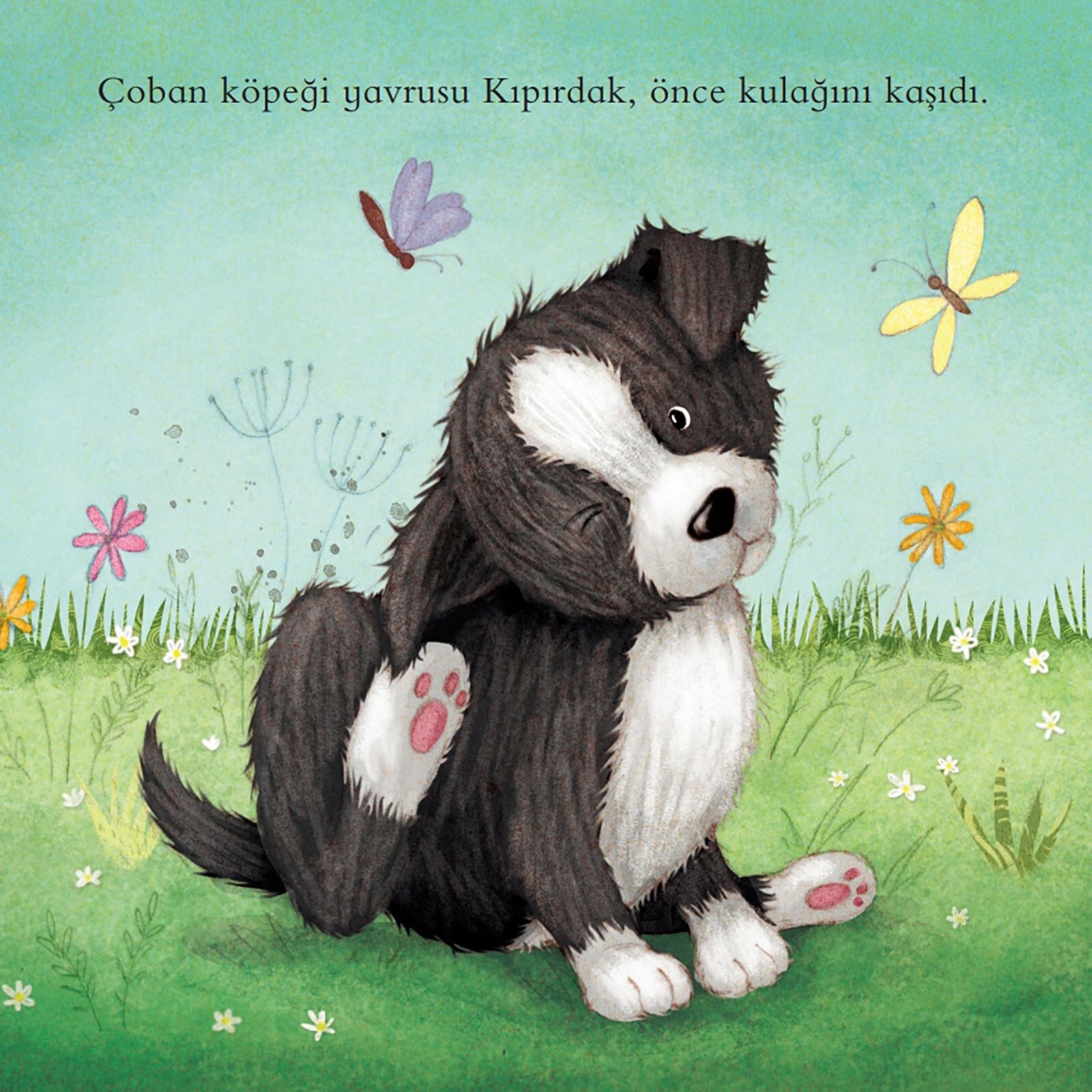 Afacan Köpek Kıpırdak