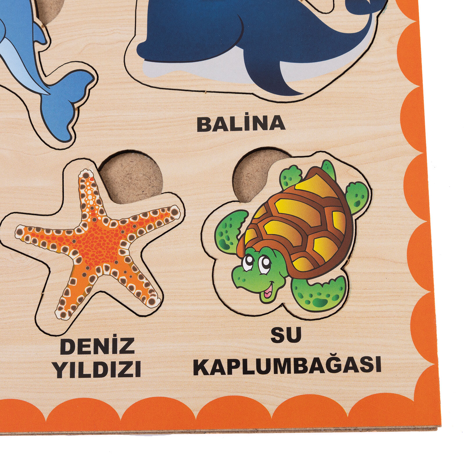 Ahşap Deniz Hayvanları Eğitici Set Ahşap Deniz Hayvanları Eğitici Set