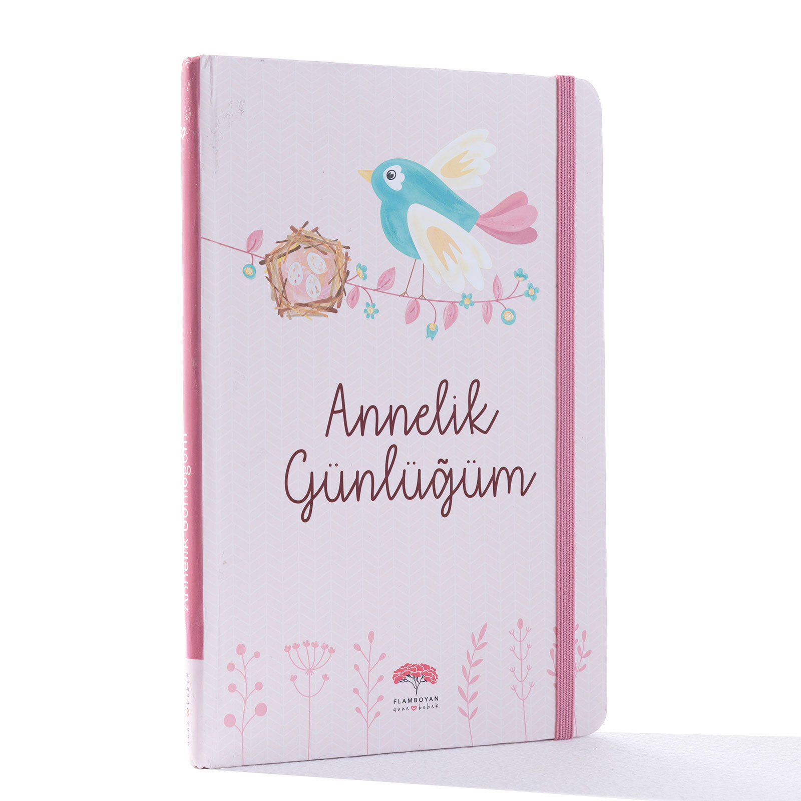 Annelik Günlüğüm