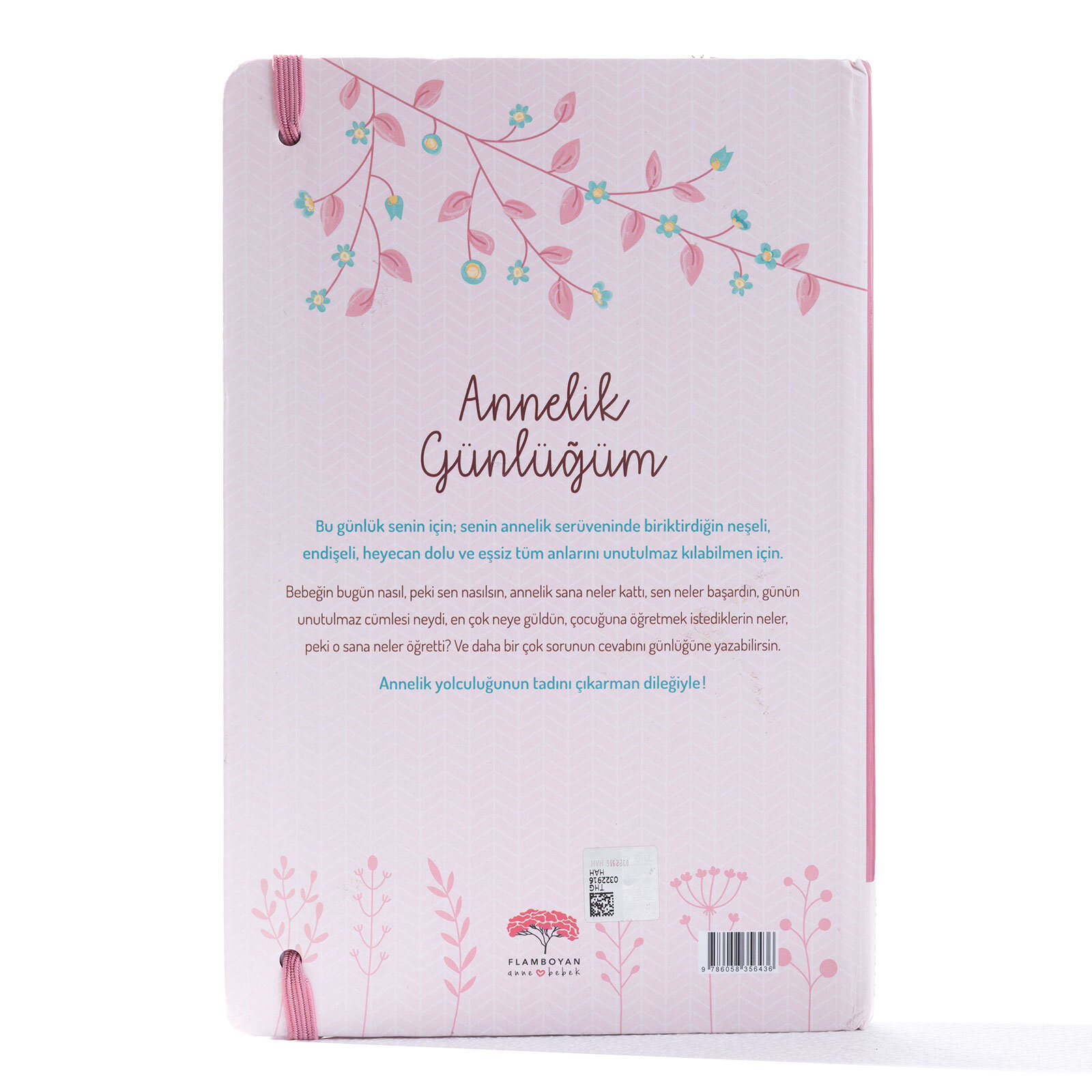 Annelik Günlüğüm