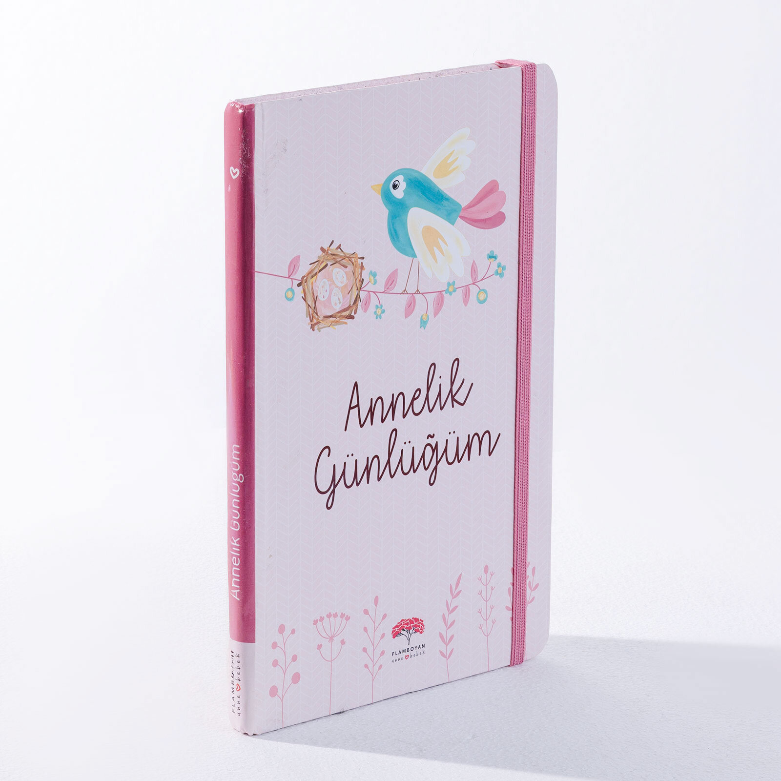 Annelik Günlüğüm