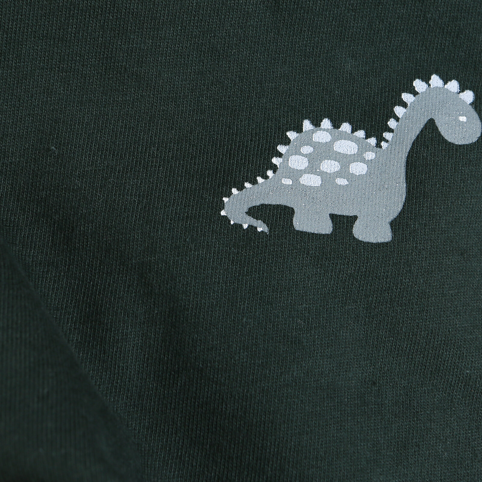 Dinozor Organik Kısa Kol Tshirt