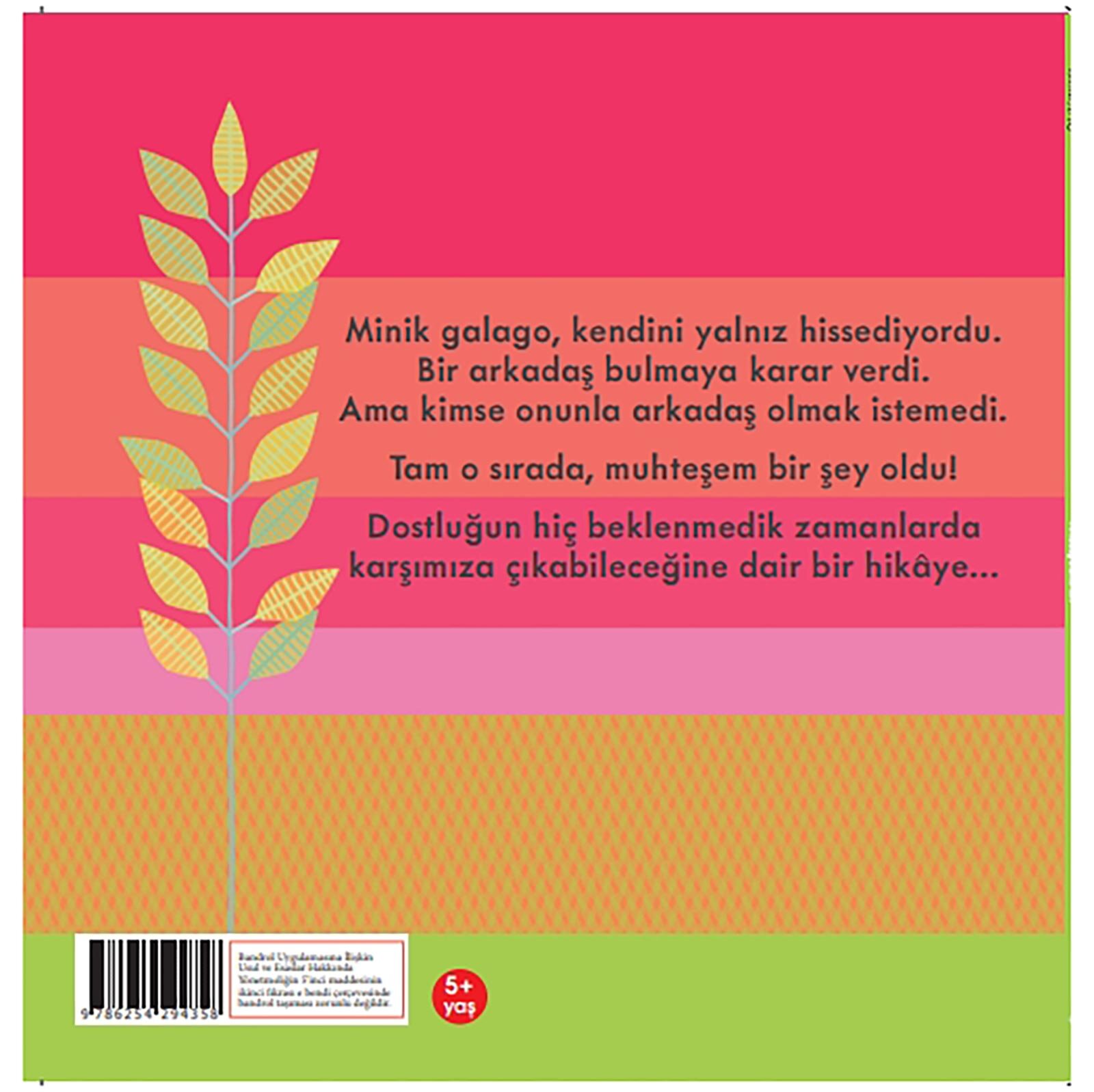 Arkadaş Olalım Mı? Arkadaş Olalım Mı?