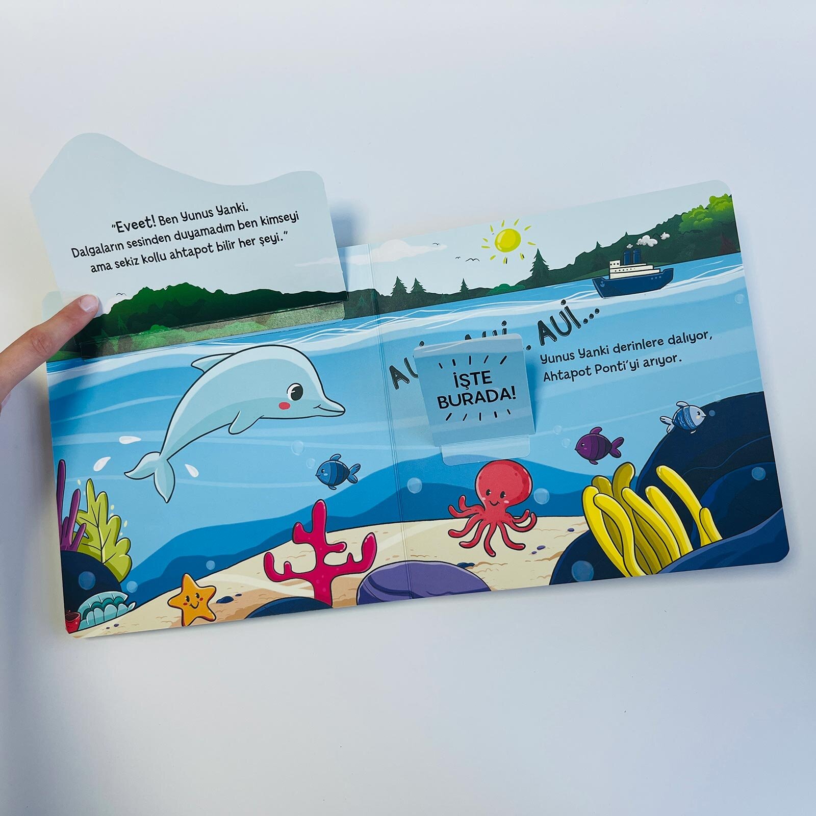 Arkadaşlık Ormanı - Pop-Up İle Keşfet Arkadaşlık Ormanı - Pop-Up İle Keşfet