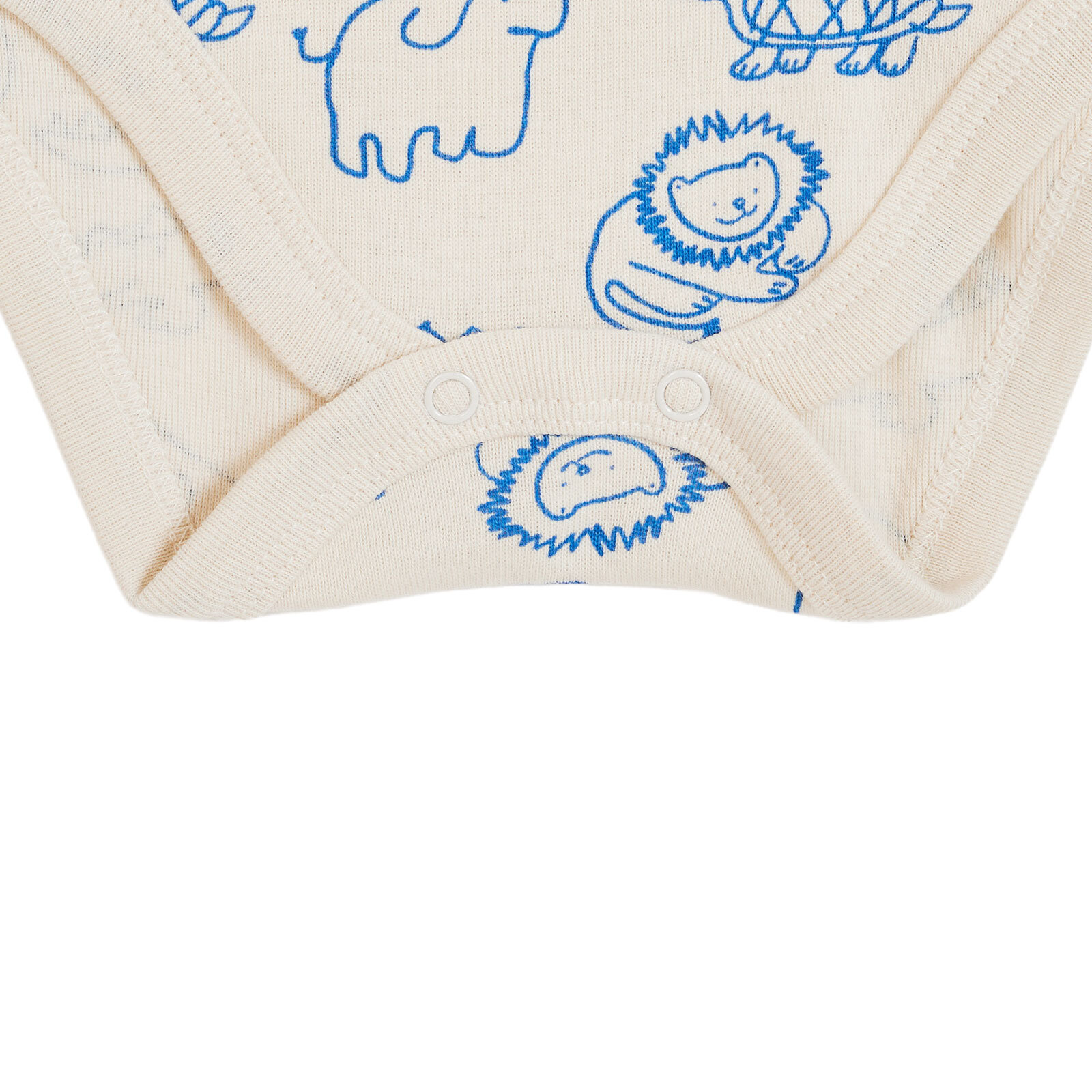 Atlet Body Atlet Body