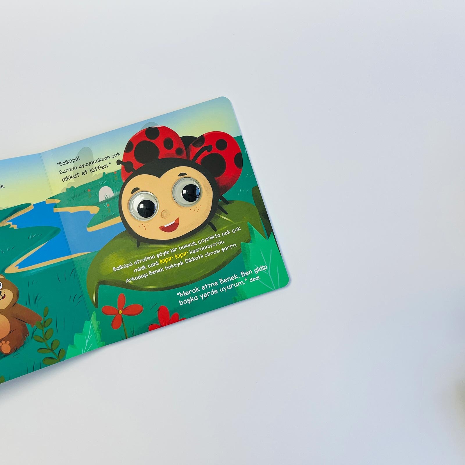 Ayı Balküpü ve Sevimli Dostları - Bu Kocaman Gözler Kimin?7 Ayı Balküpü ve Sevimli Dostları - Bu Kocaman Gözler Kimin?7