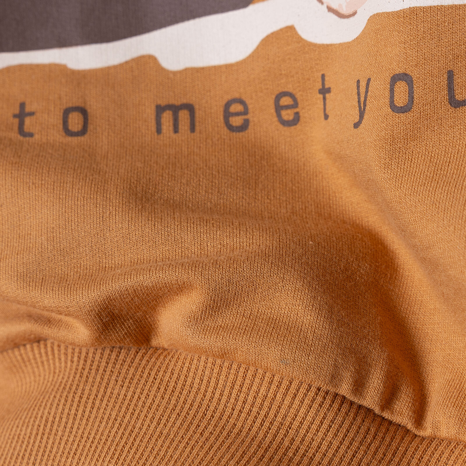 Ayıcık Baskılı Sweatshirt Erkek Bebek Ayıcık Baskılı Sweatshirt Erkek Bebek