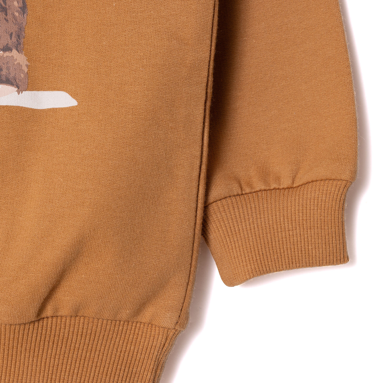 Ayıcık Baskılı Sweatshirt Erkek Bebek Ayıcık Baskılı Sweatshirt Erkek Bebek