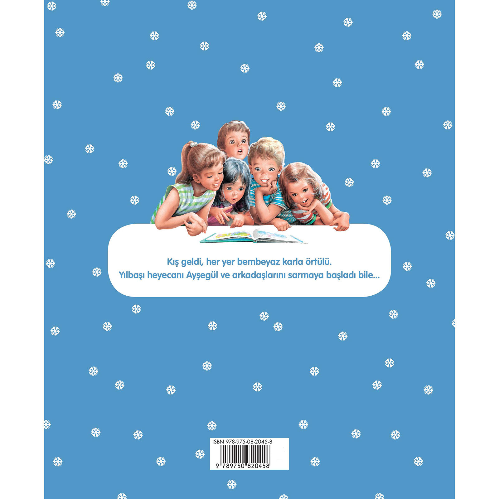 Ayşegül 13: Yılbaşı Sürprizi Ayşegül 13: Yılbaşı Sürprizi