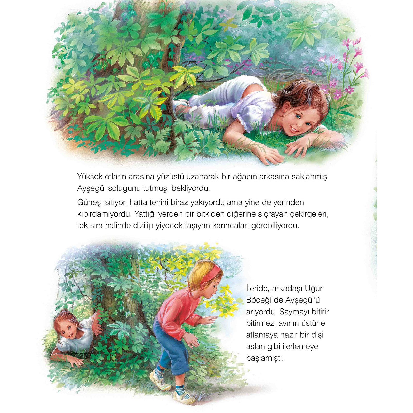 Ayşegül 16: Doğayı Koruyor