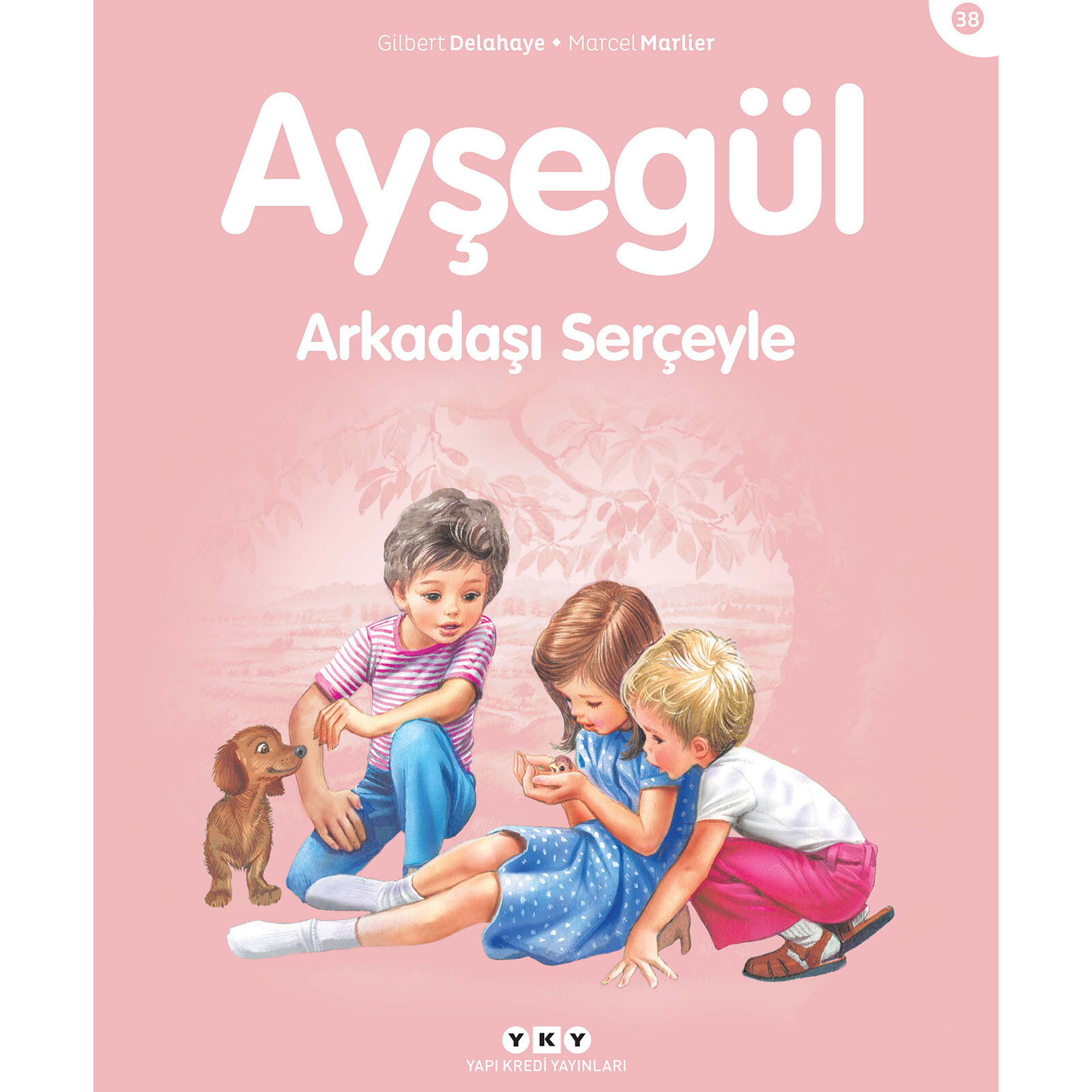 Ayşegül 38: Arkadaşı Serçeyle