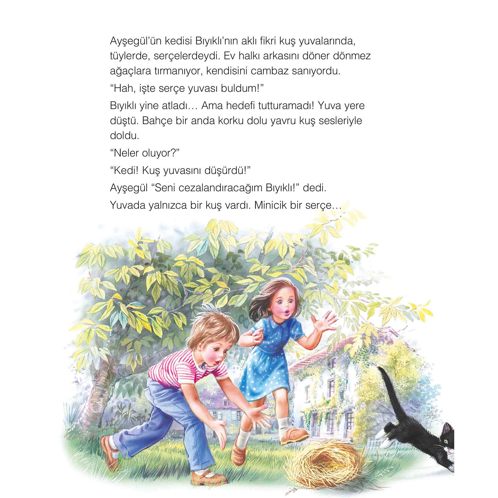 Ayşegül 38: Arkadaşı Serçeyle