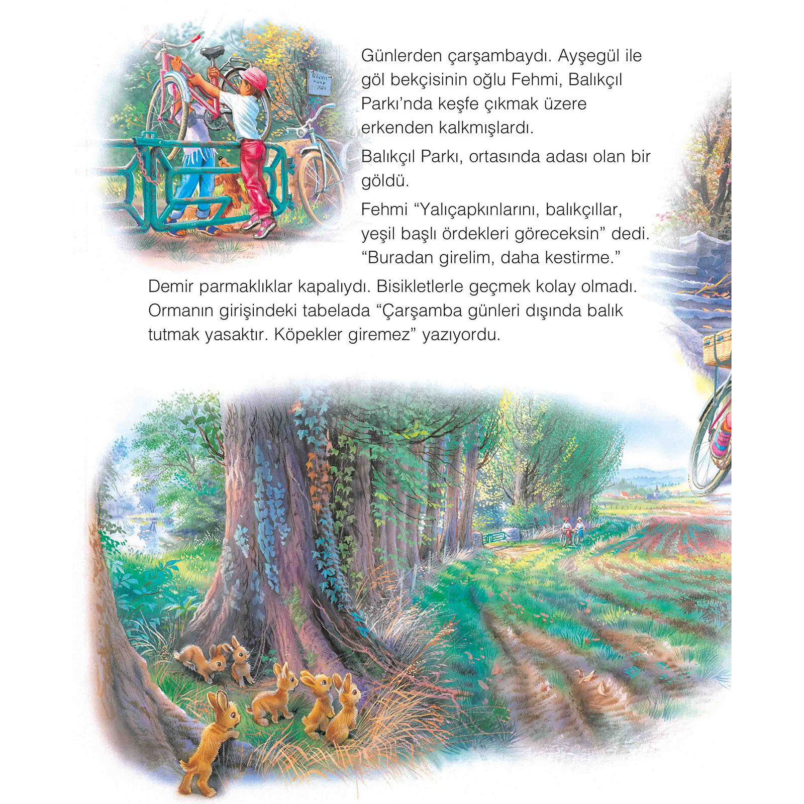 Ayşegül 48: Özel Bir Gün Ayşegül 48: Özel Bir Gün