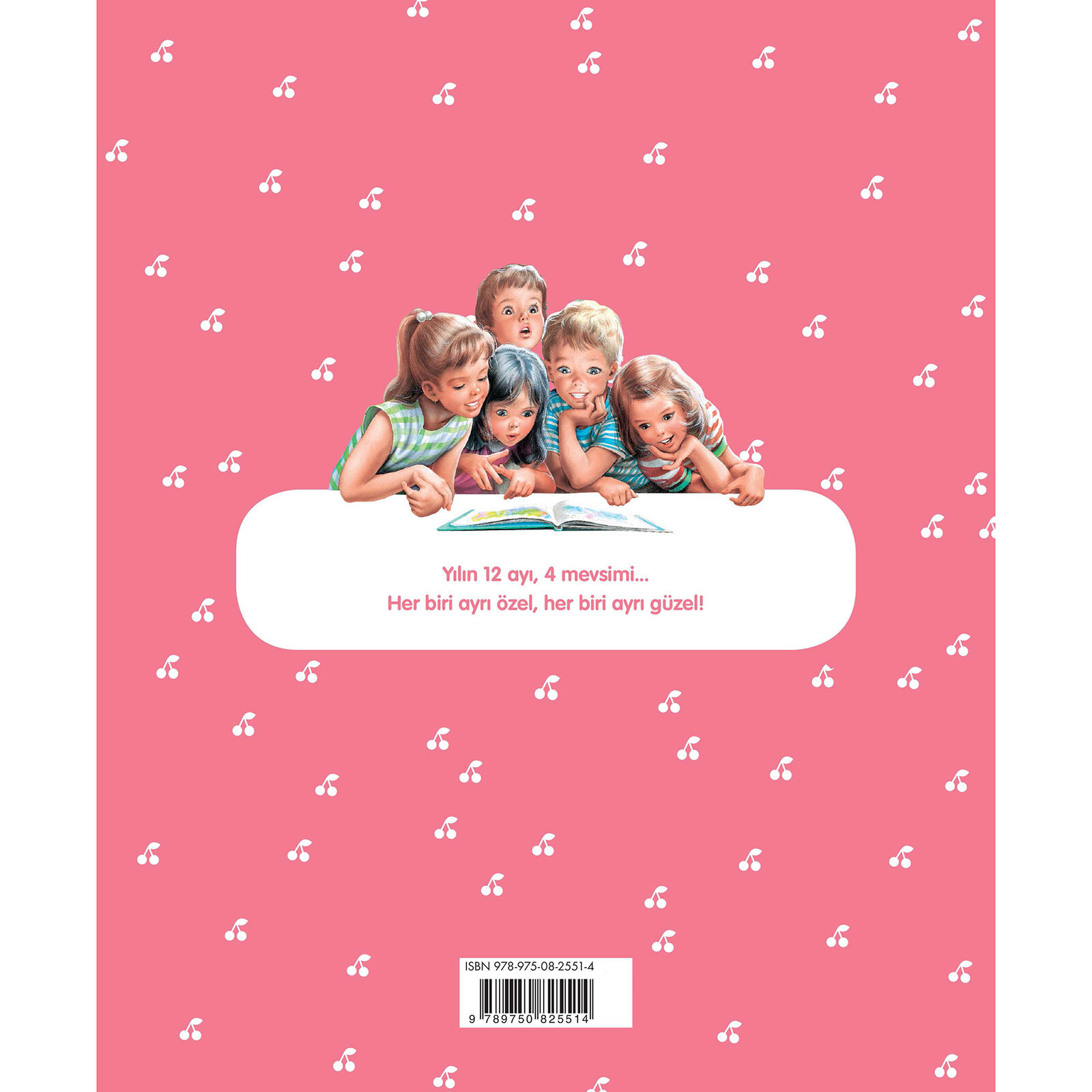 Ayşegül 53: Dört Mevsim