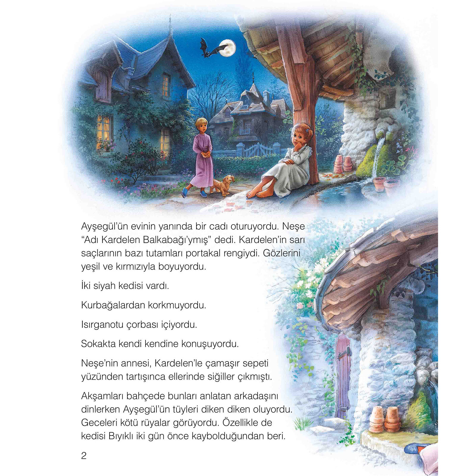 Ayşegül 55: Esrarengiz Komşu Ayşegül 55: Esrarengiz Komşu