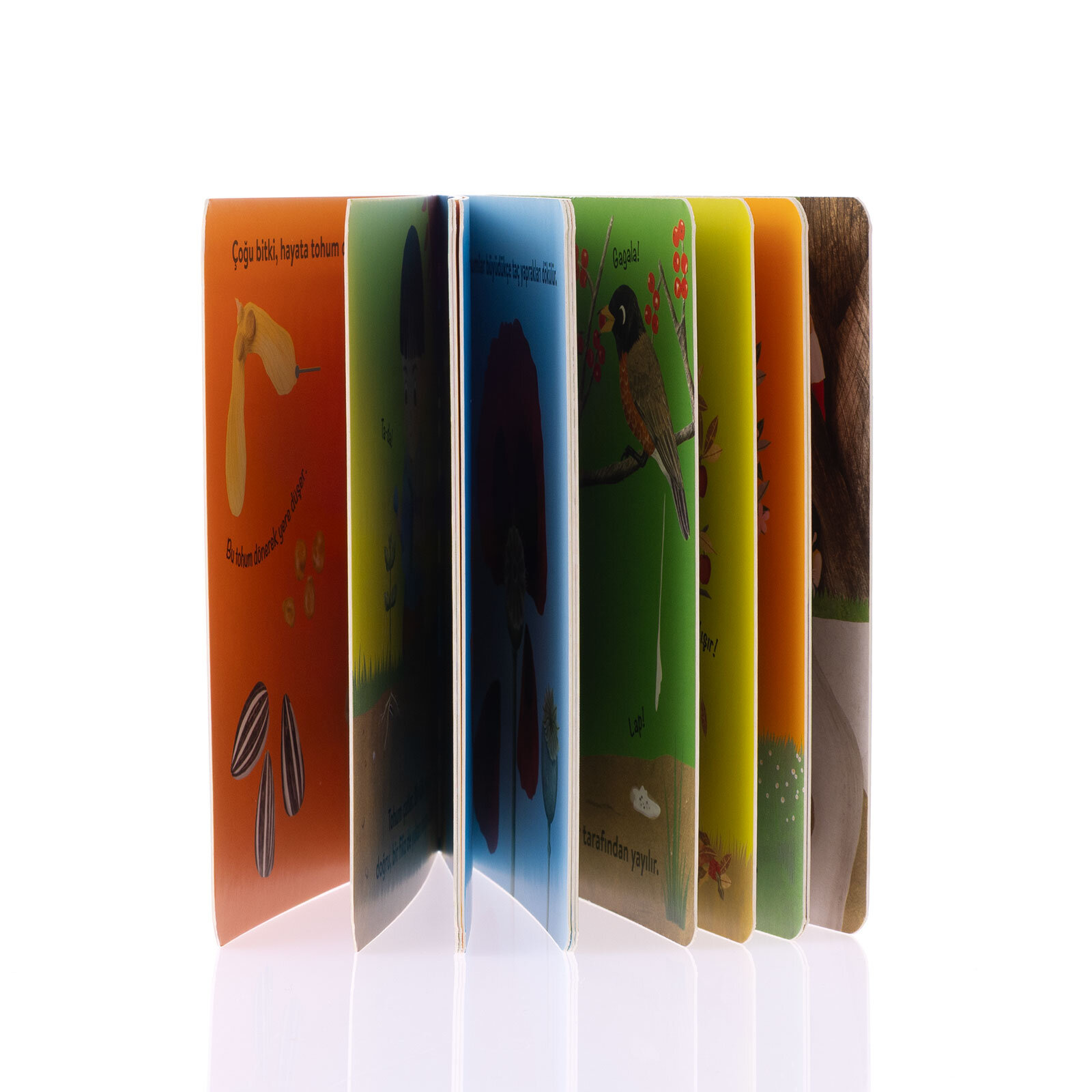 Baby Britannica: Bitkiler Baby Britannica: Bitkiler