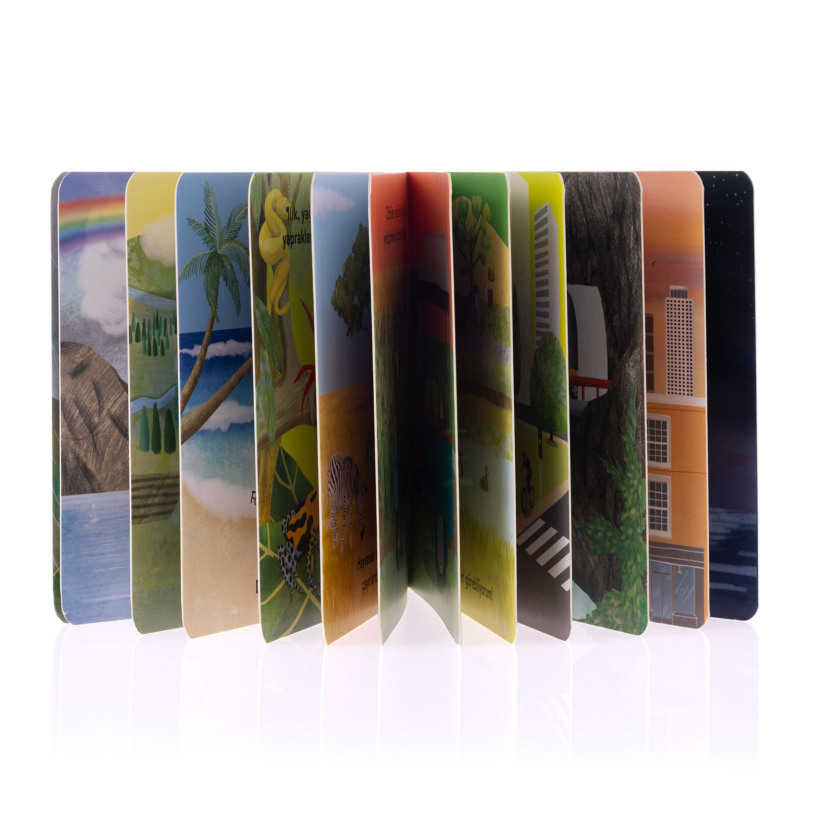 Baby Britannica: Dünyamız Baby Britannica: Dünyamız