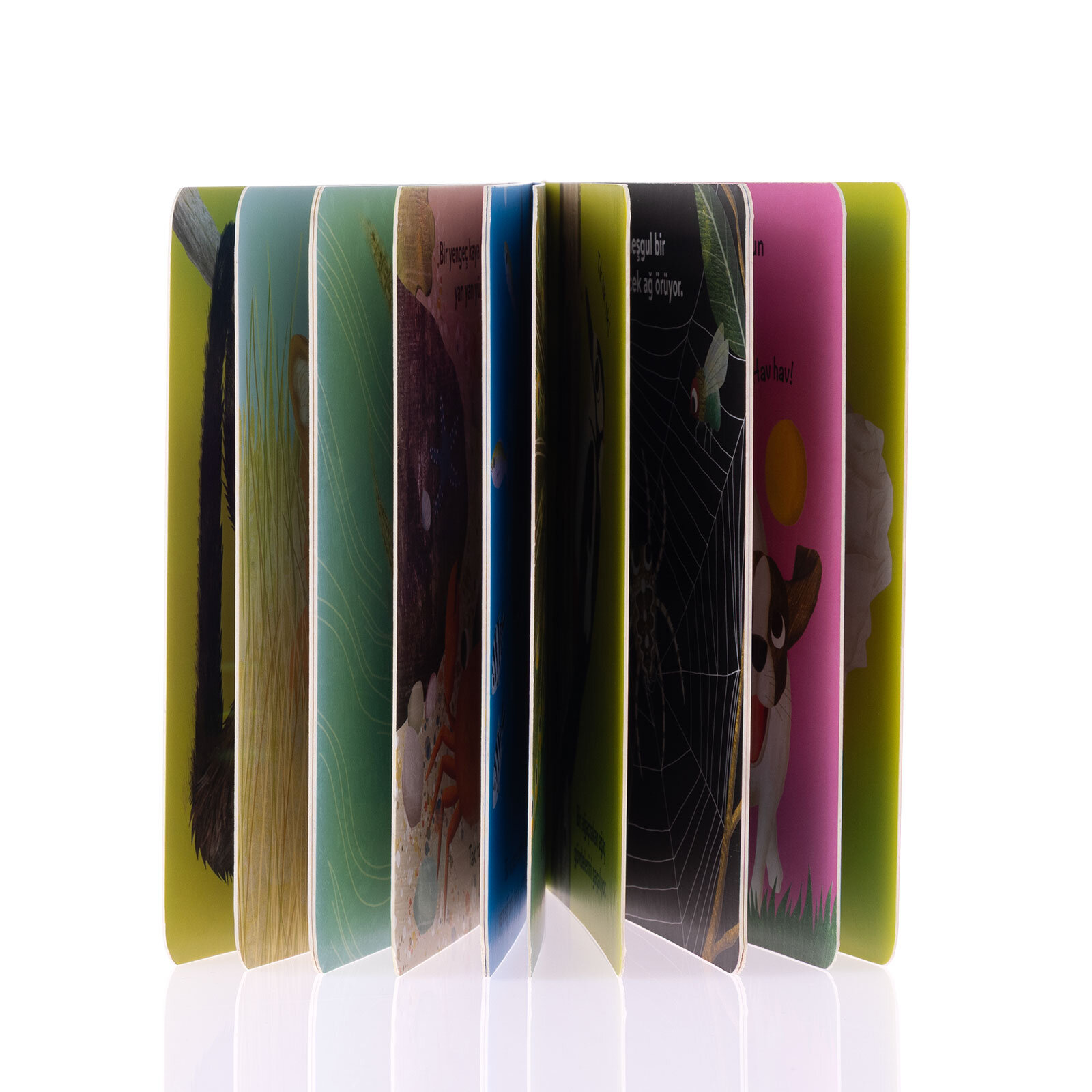 Baby Britannica: Hayvanlar Baby Britannica: Hayvanlar