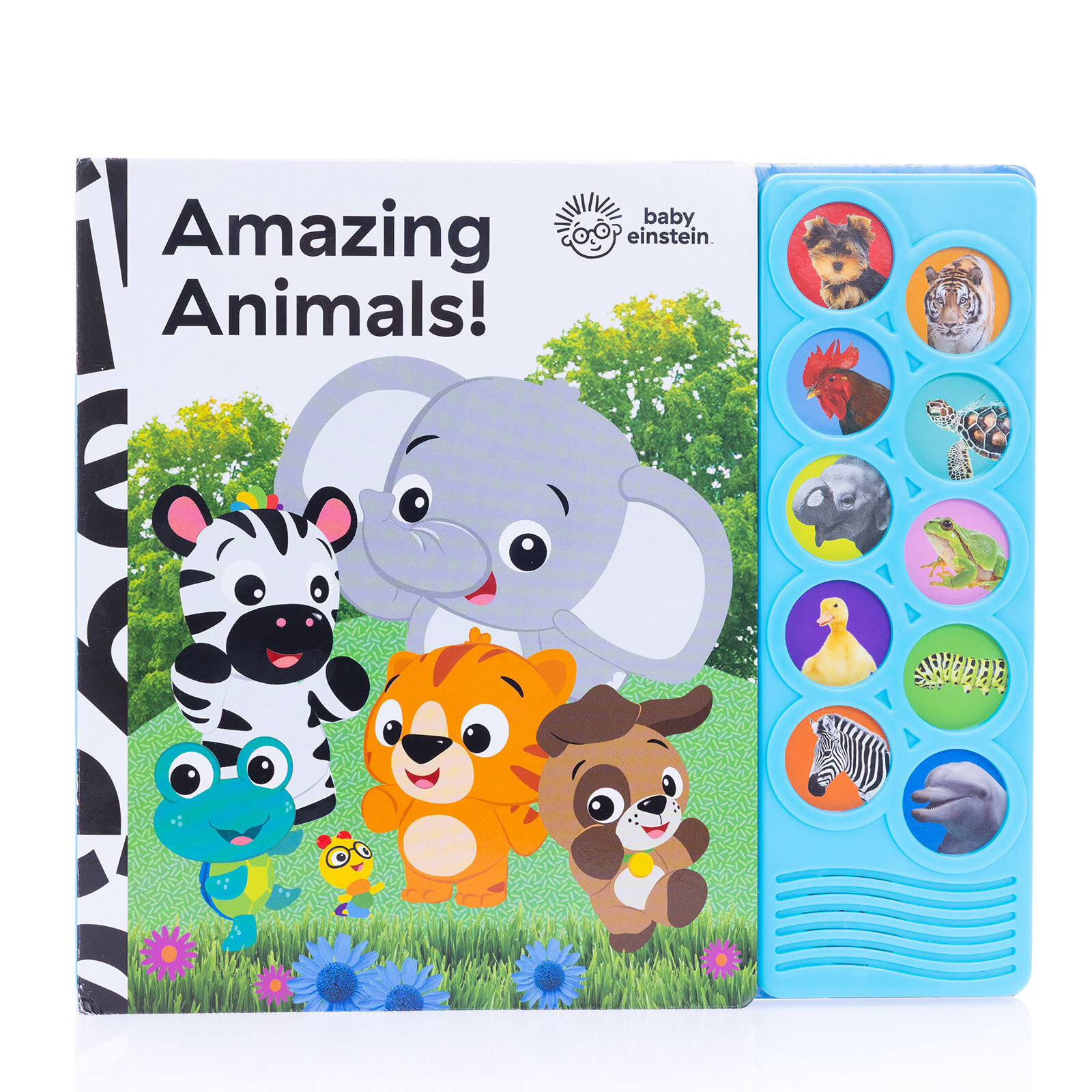 Baby Einstein: Amazing Animals /İngilizce Sesli Kitap Baby Einstein: Amazing Animals /İngilizce Sesli Kitap