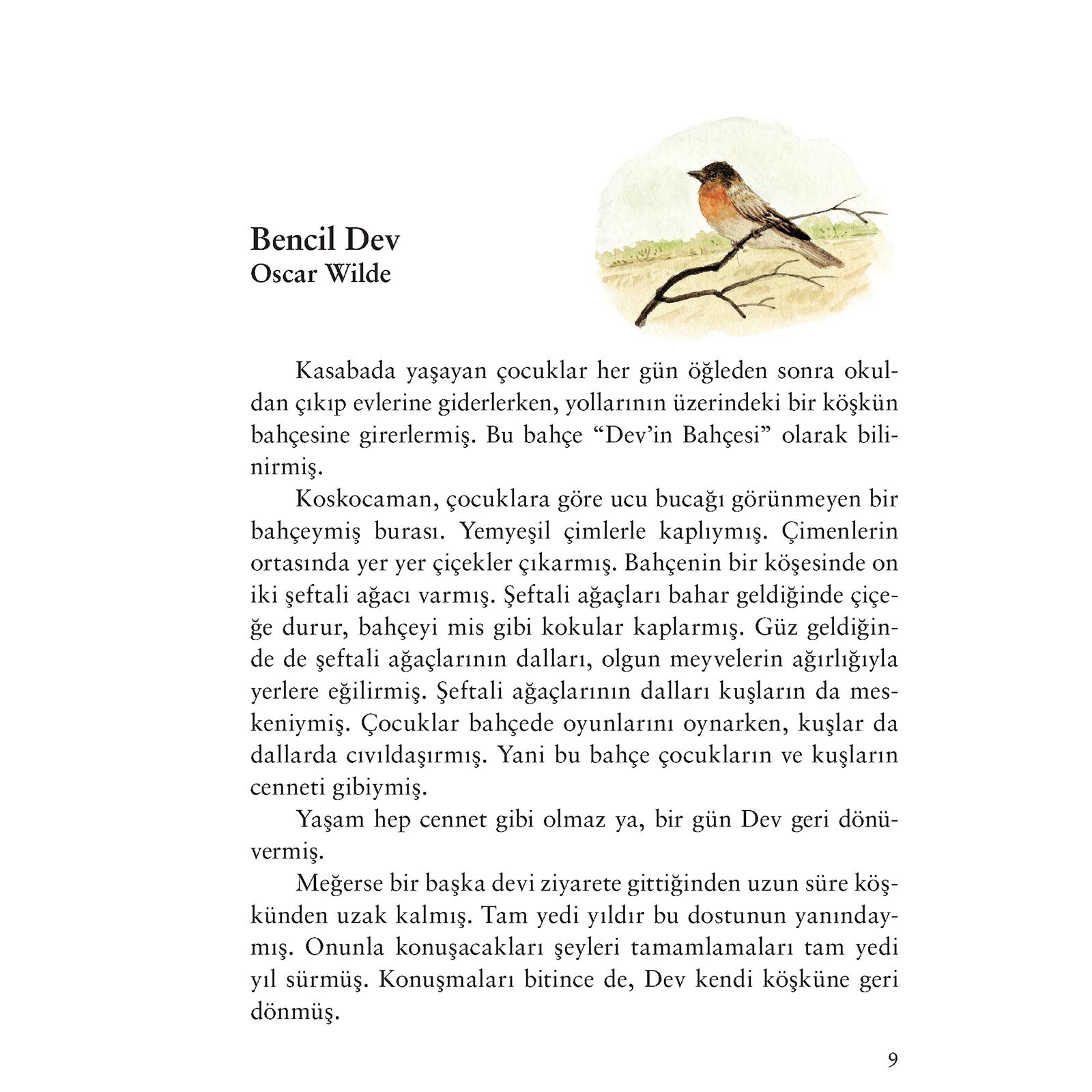 Bahar Masalları Bahar Masalları